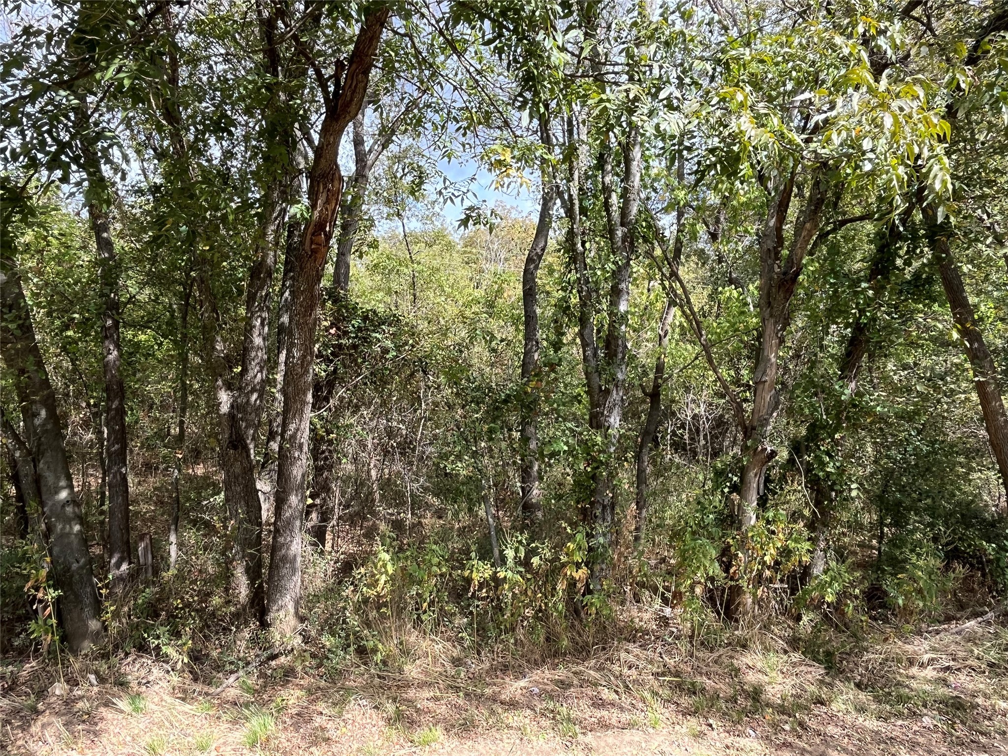 6328 Fm 2738 Burleson TX 76028