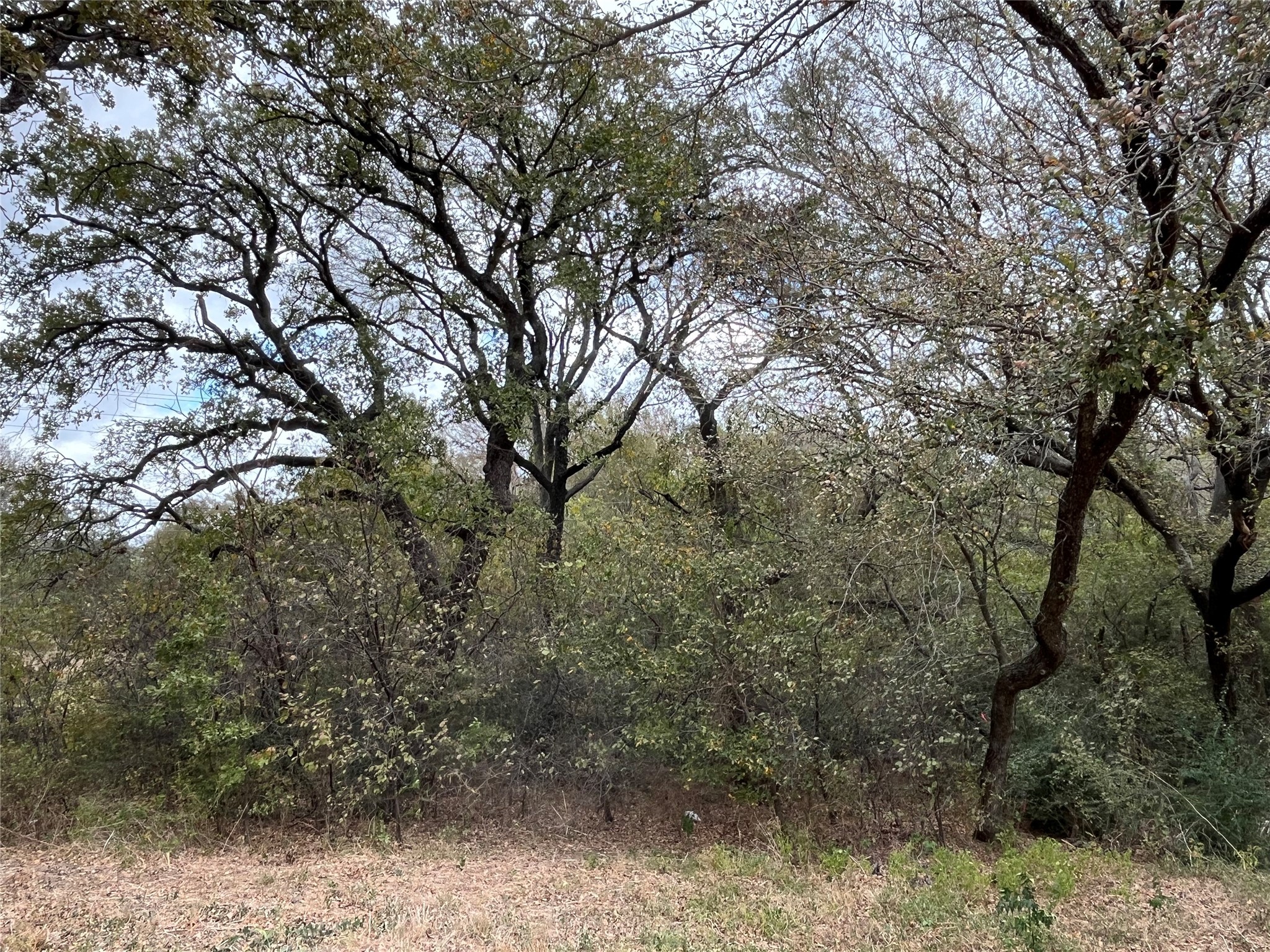 6328 Fm 2738 Burleson TX 76028