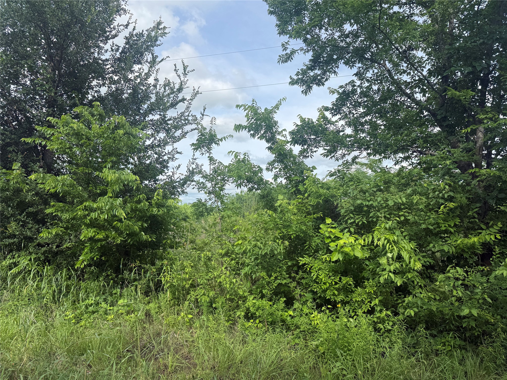 3179 County Road 22900 Paris TX 75460