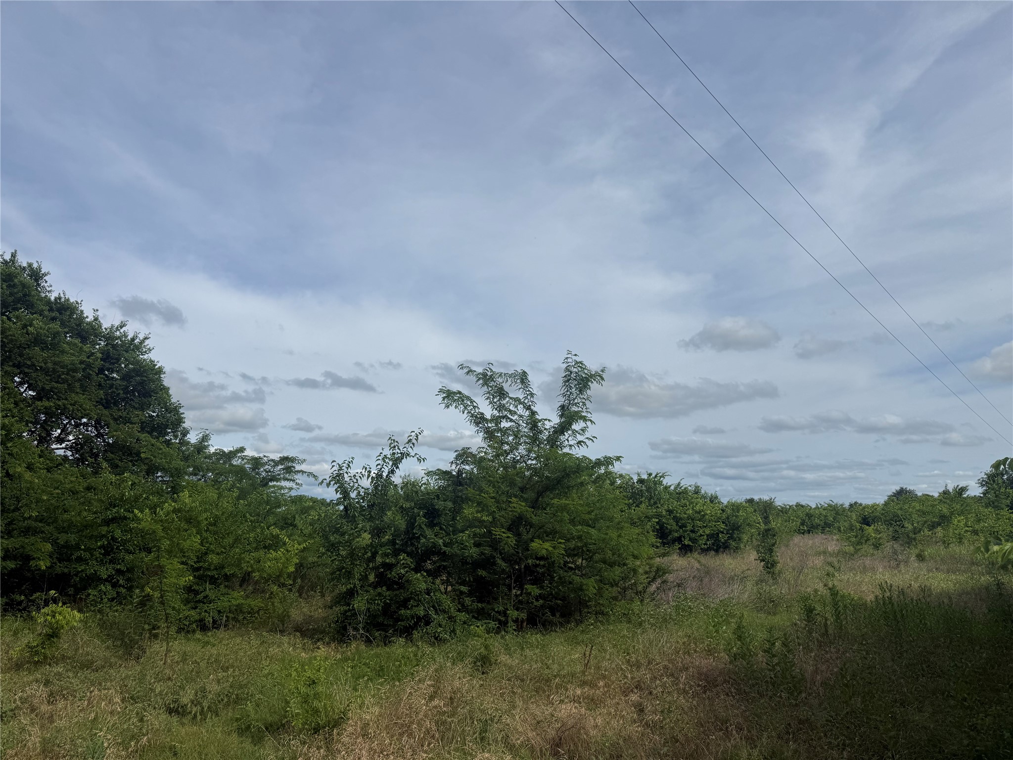3179 County Road 22900 Paris TX 75460