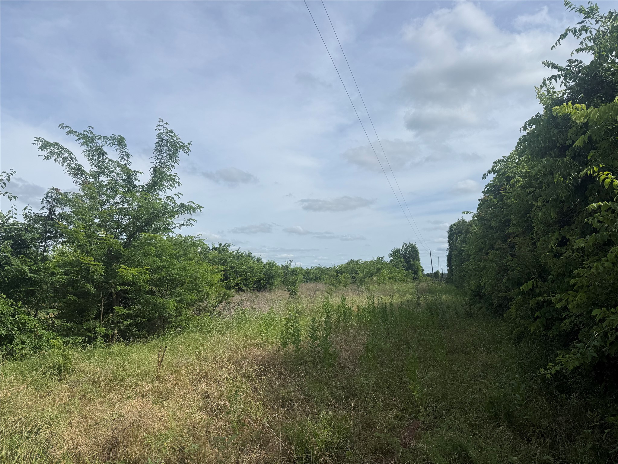 3179 County Road 22900 Paris TX 75460