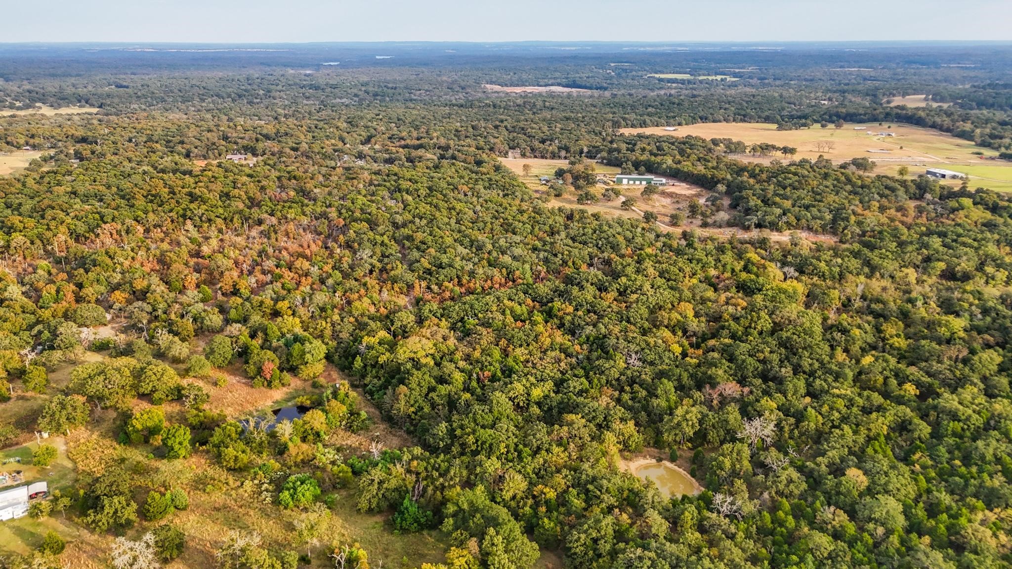 Tbd Fm-59 Athens TX 75751