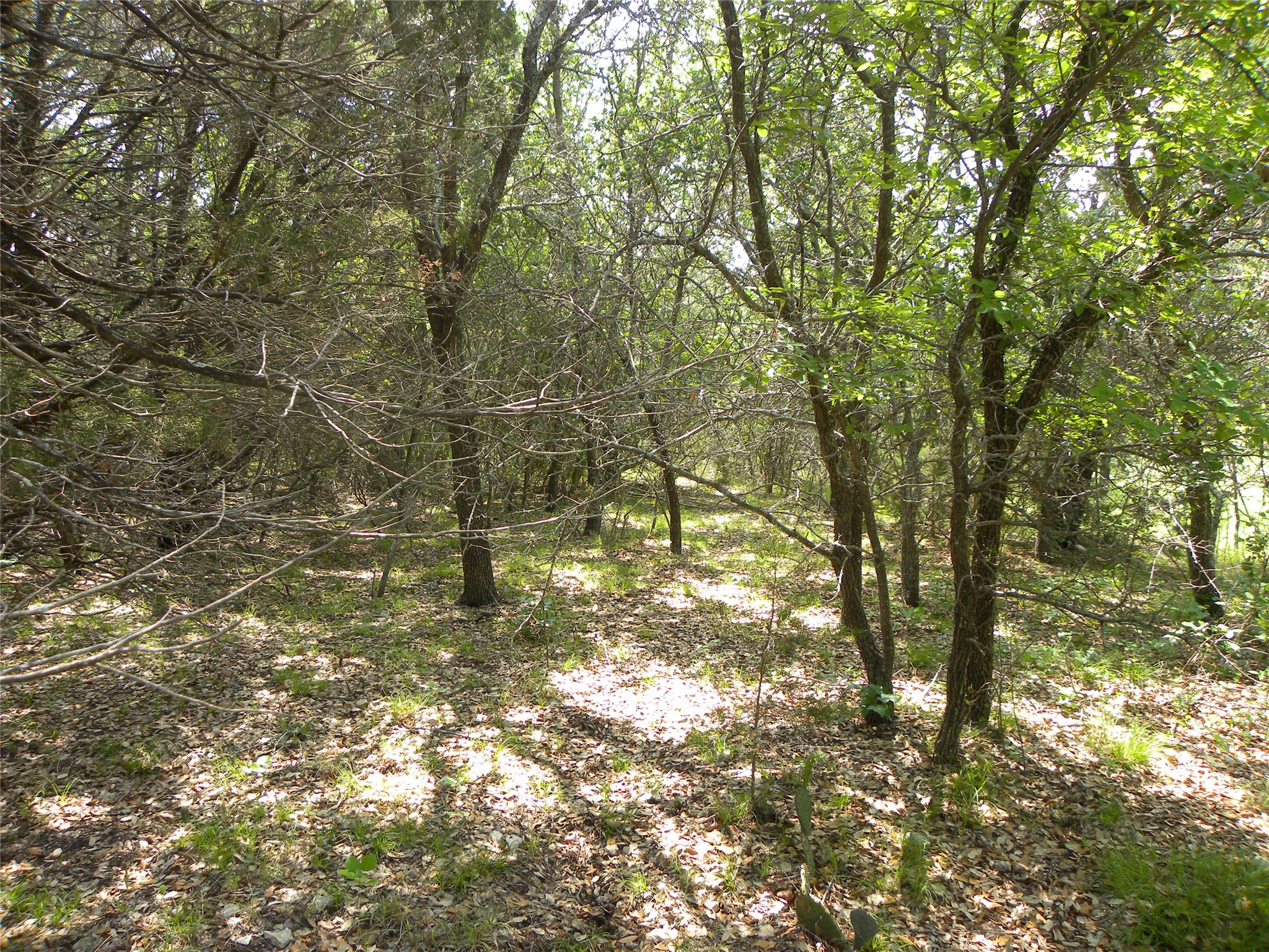 1303 Ash Court Whitney TX 76692