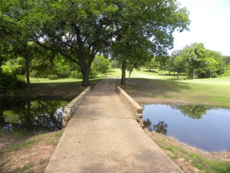 1303 Ash Court Whitney TX 76692