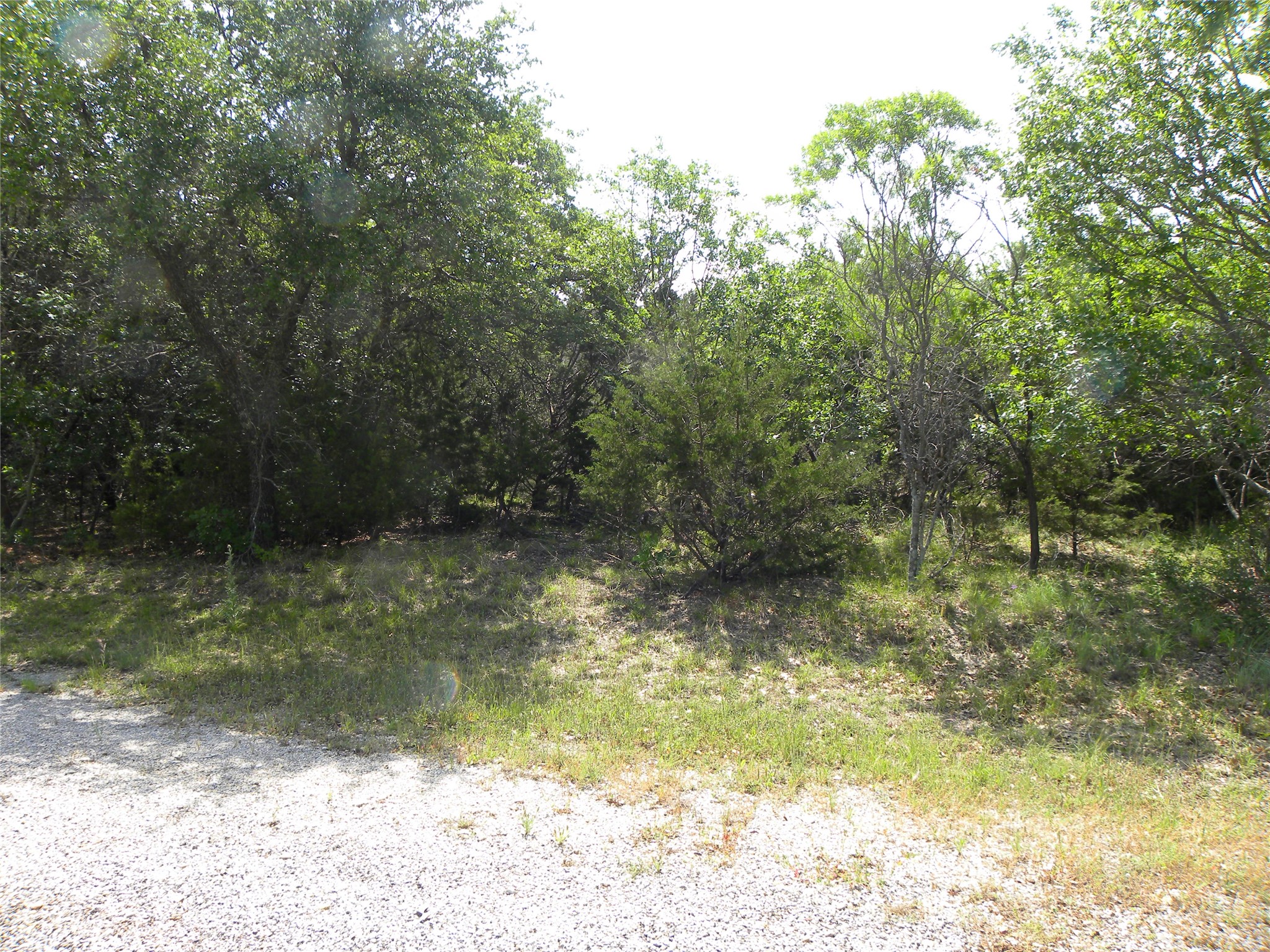 1303 Ash Court Whitney TX 76692
