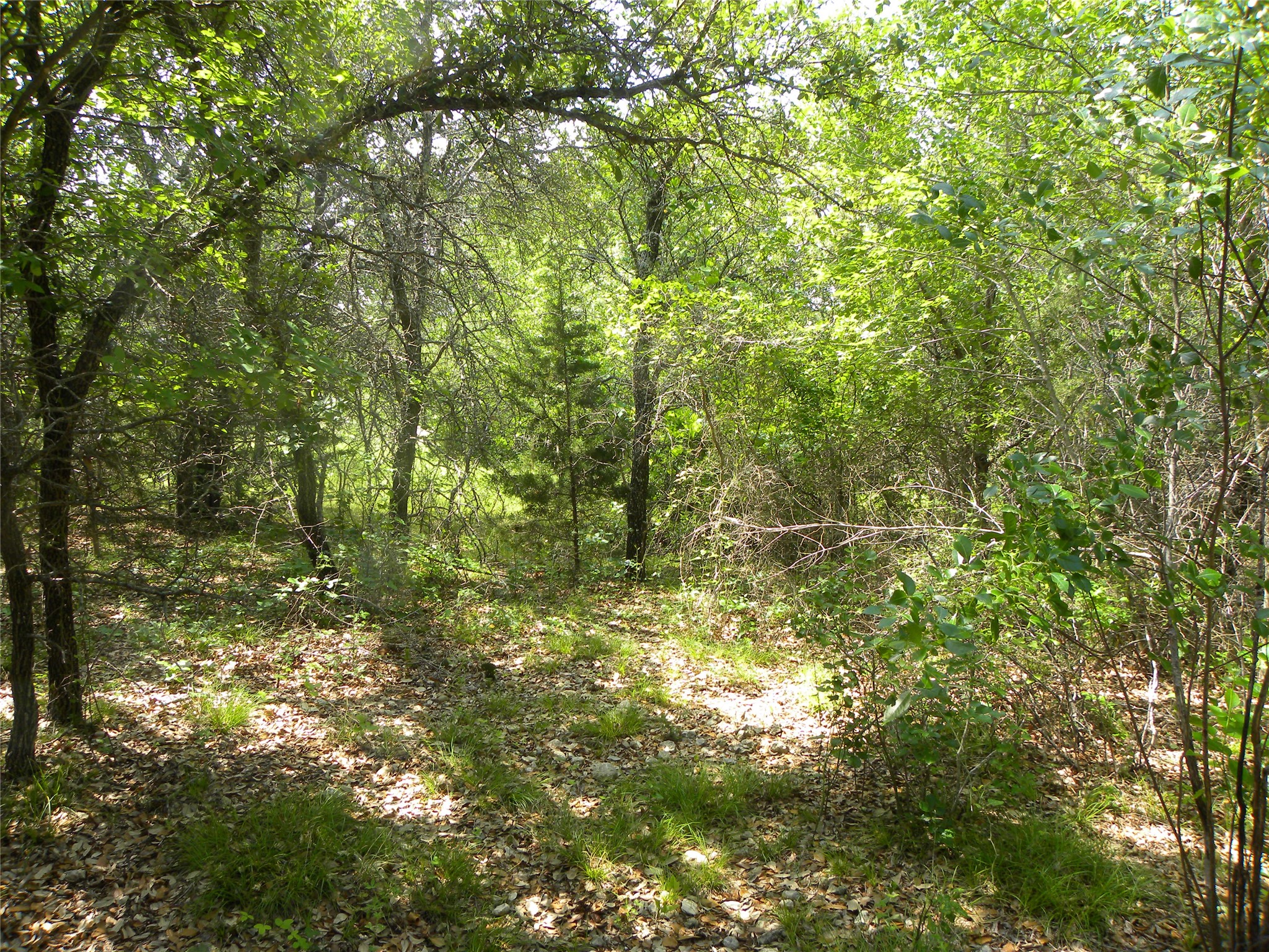 1303 Ash Court Whitney TX 76692