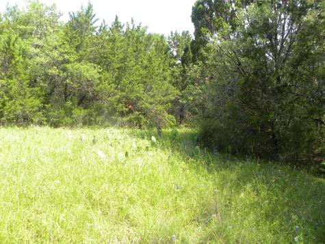 1303 Ash Court Whitney TX 76692