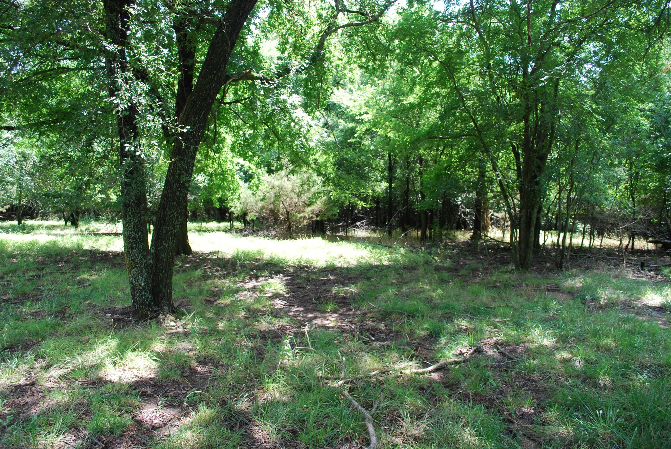 15013 Golf Drive Whitney TX 76692