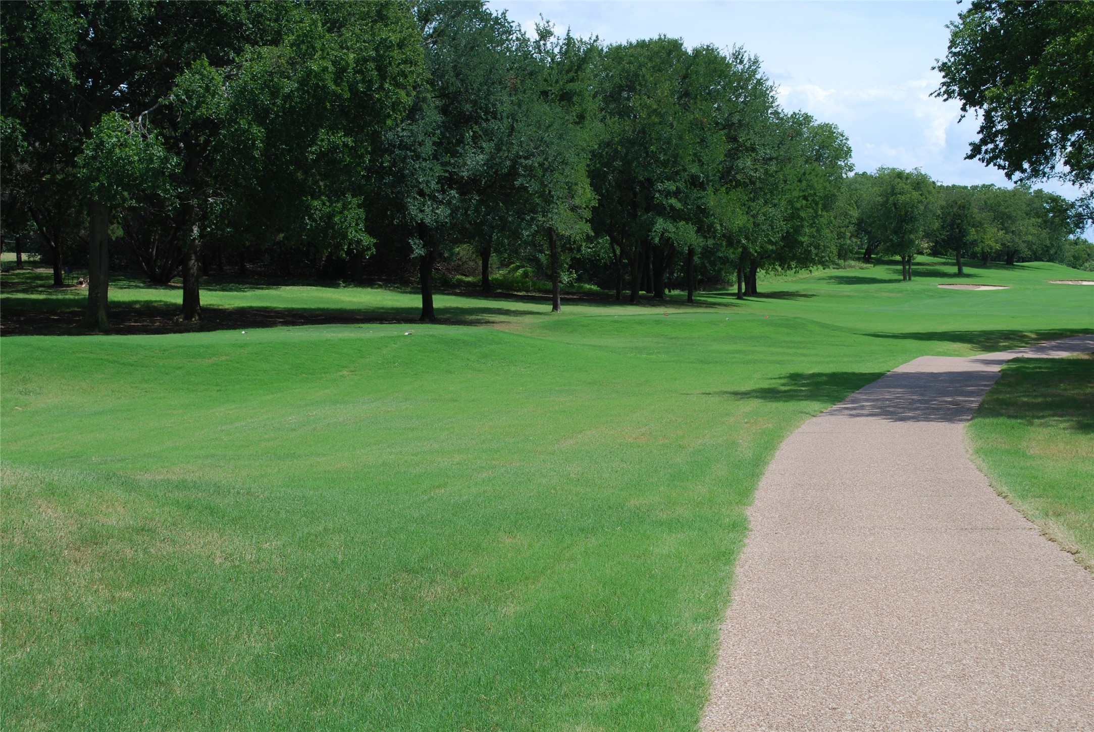 15013 Golf Drive Whitney TX 76692