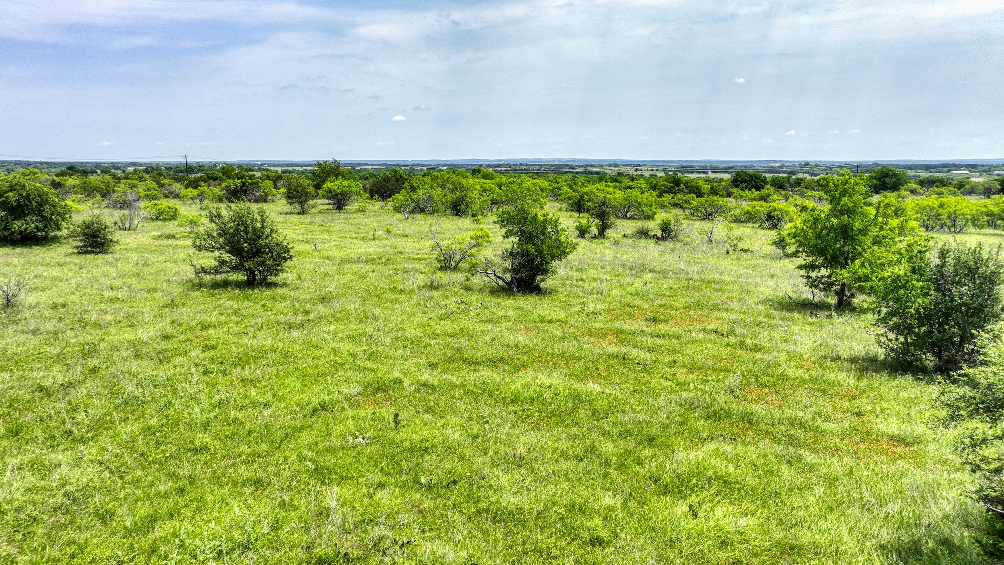 1000 Goodnight Trail Perrin TX 76486