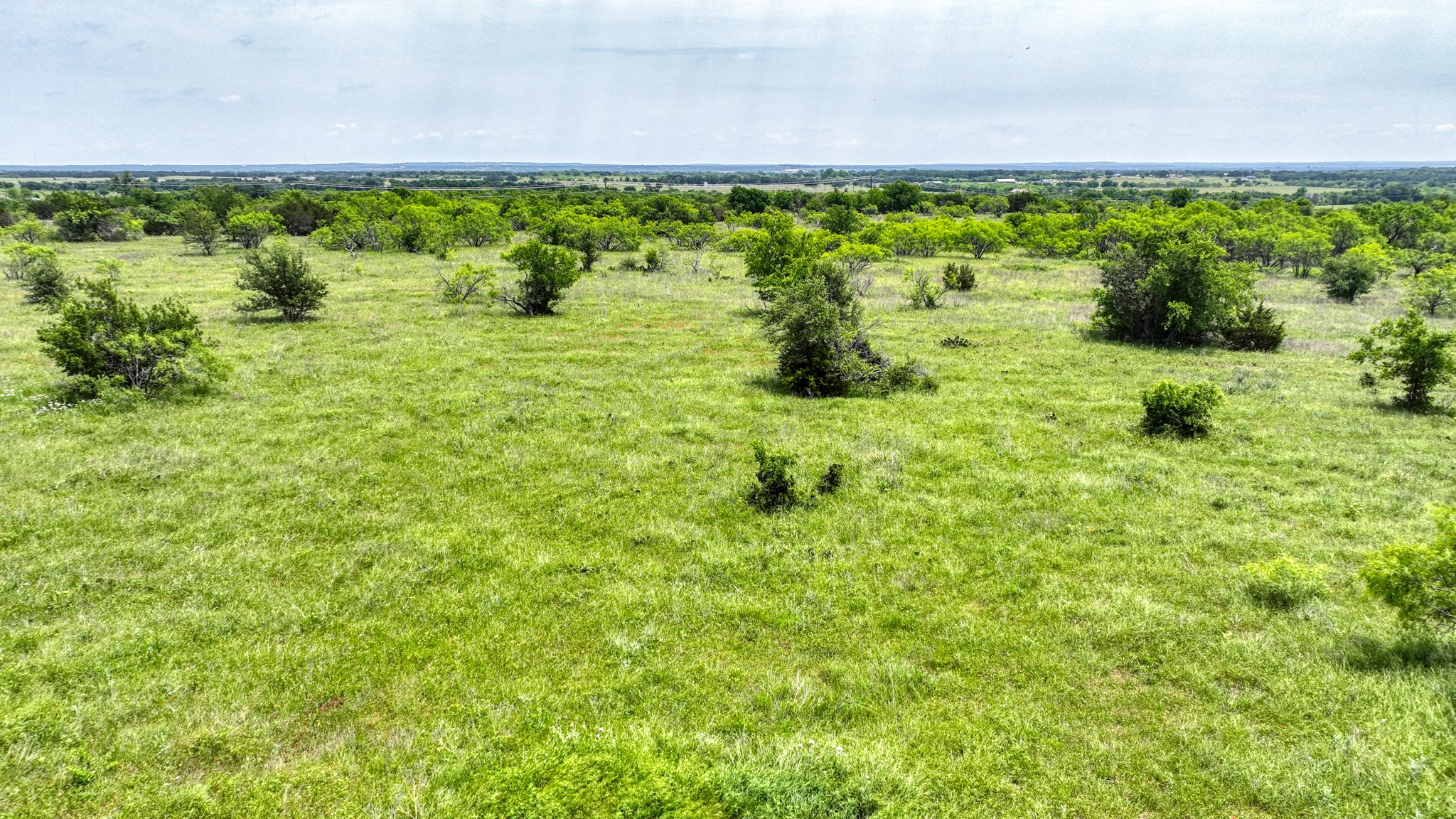 1000 Goodnight Trail Perrin TX 76486