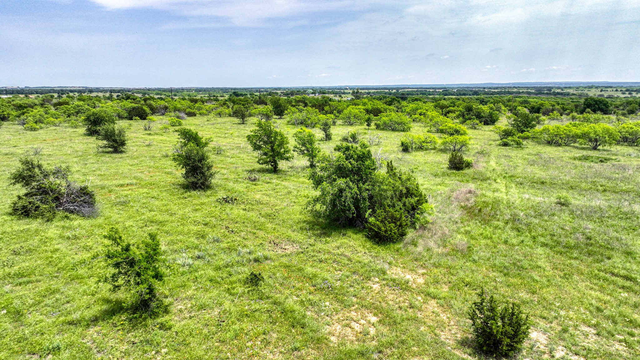 1000 Goodnight Trail Perrin TX 76486