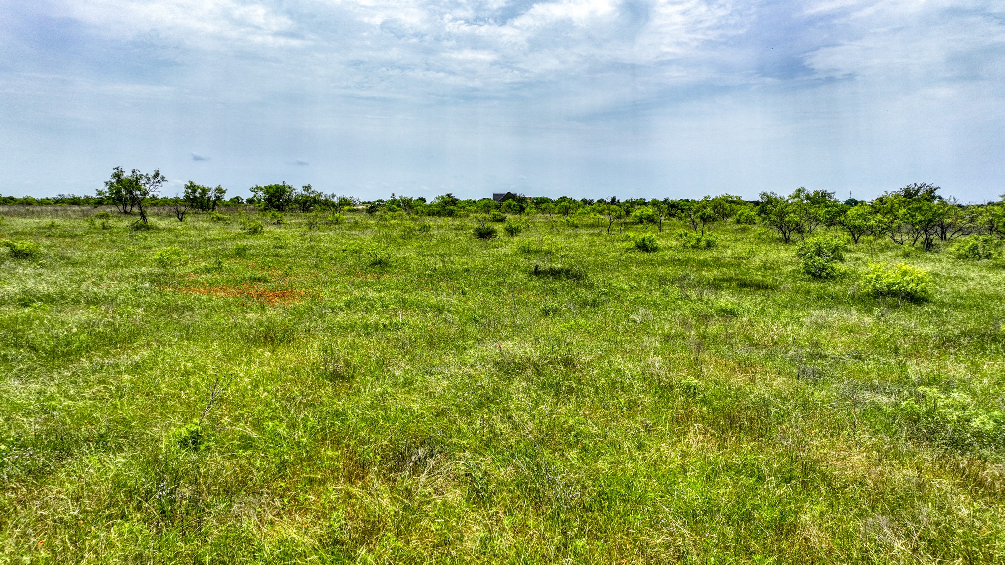 1000 Goodnight Trail Perrin TX 76486