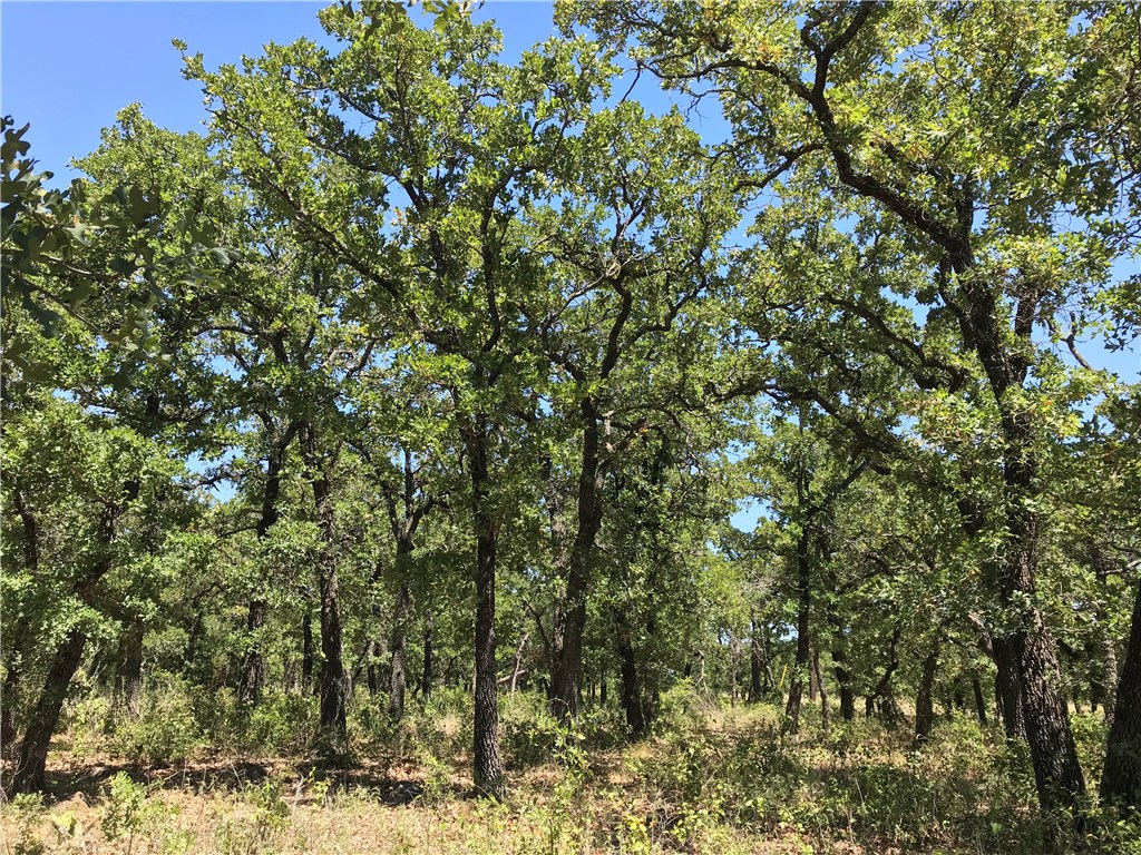 A18R Post Oak Road Gordon TX 76453