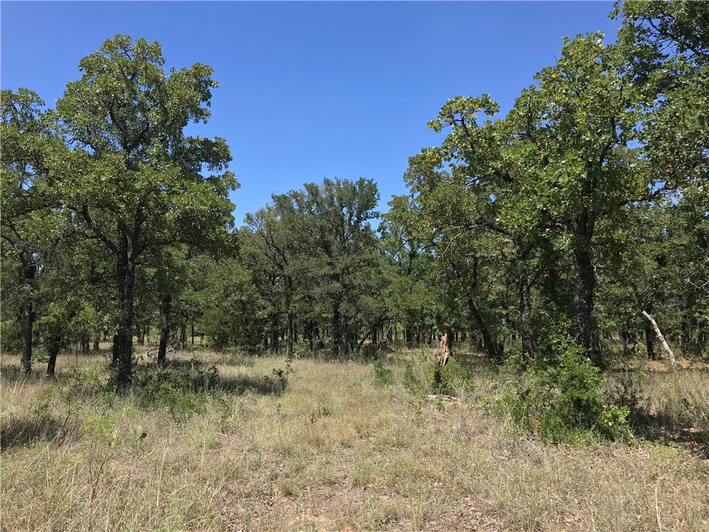 A18R Post Oak Road Gordon TX 76453