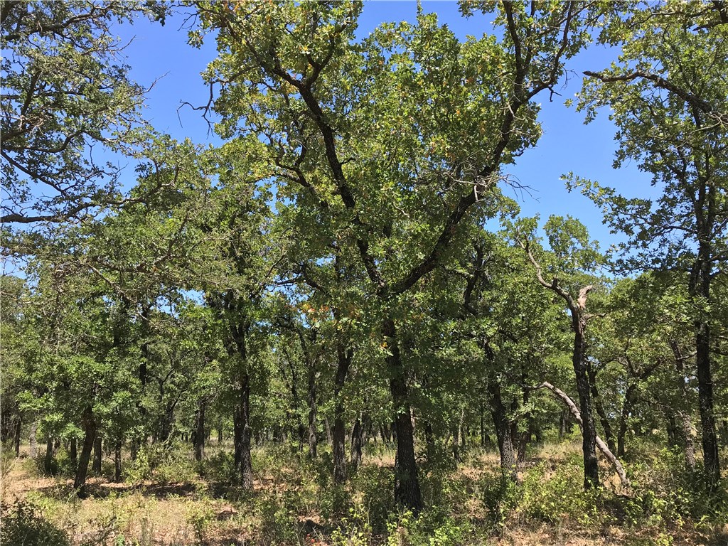 A18R Post Oak Road Gordon TX 76453