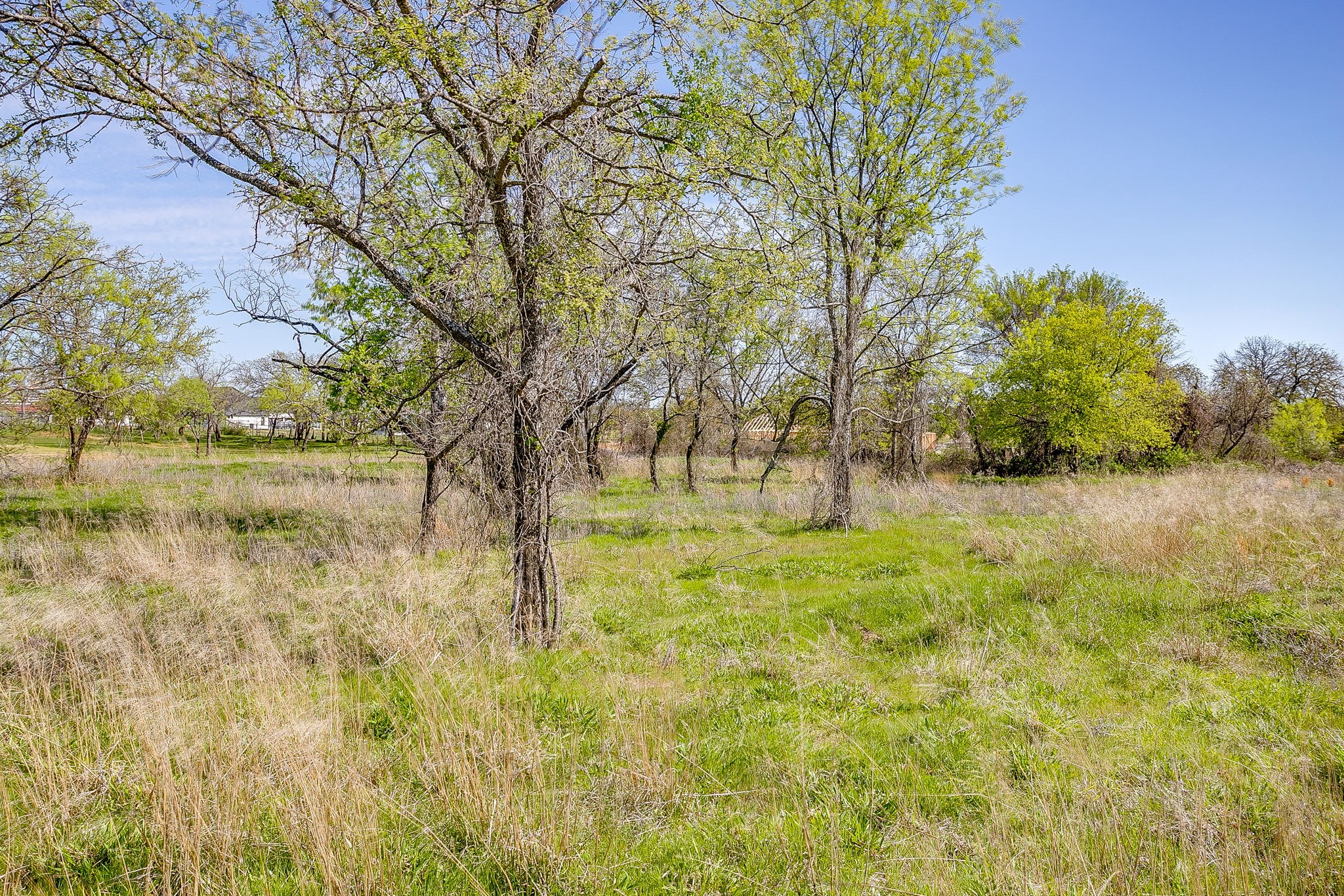 113 Dan Russell Bend Weatherford TX 76087