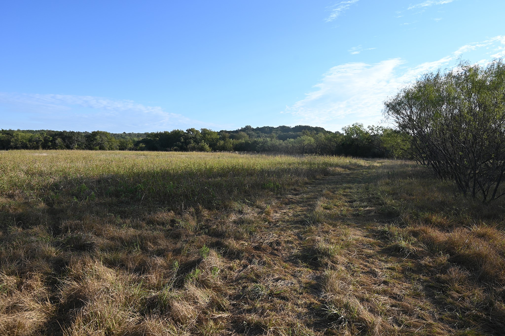 1811 Highway 570 Eastland TX 76448