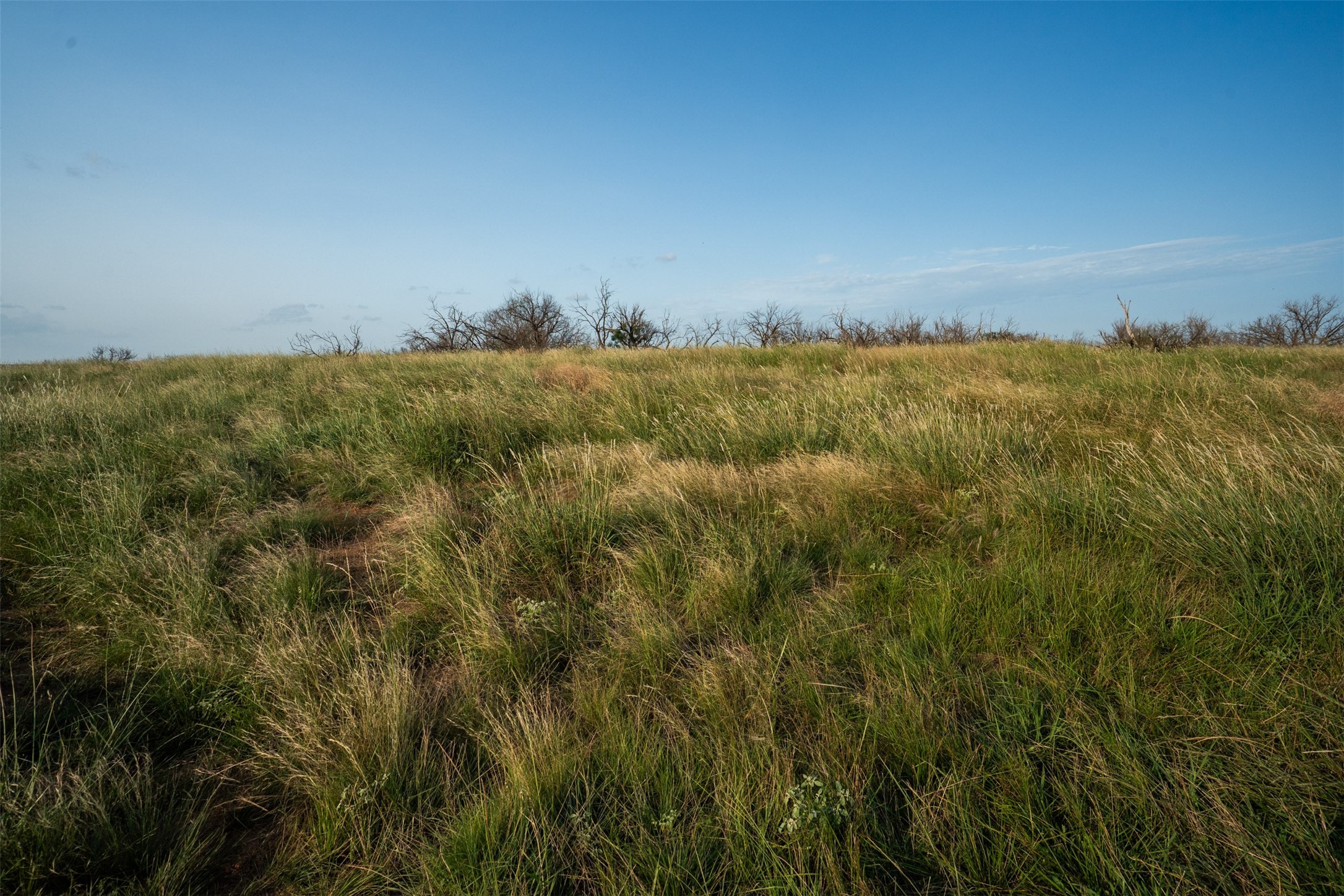 1543 E Highway 258 Wichita Falls TX 76310