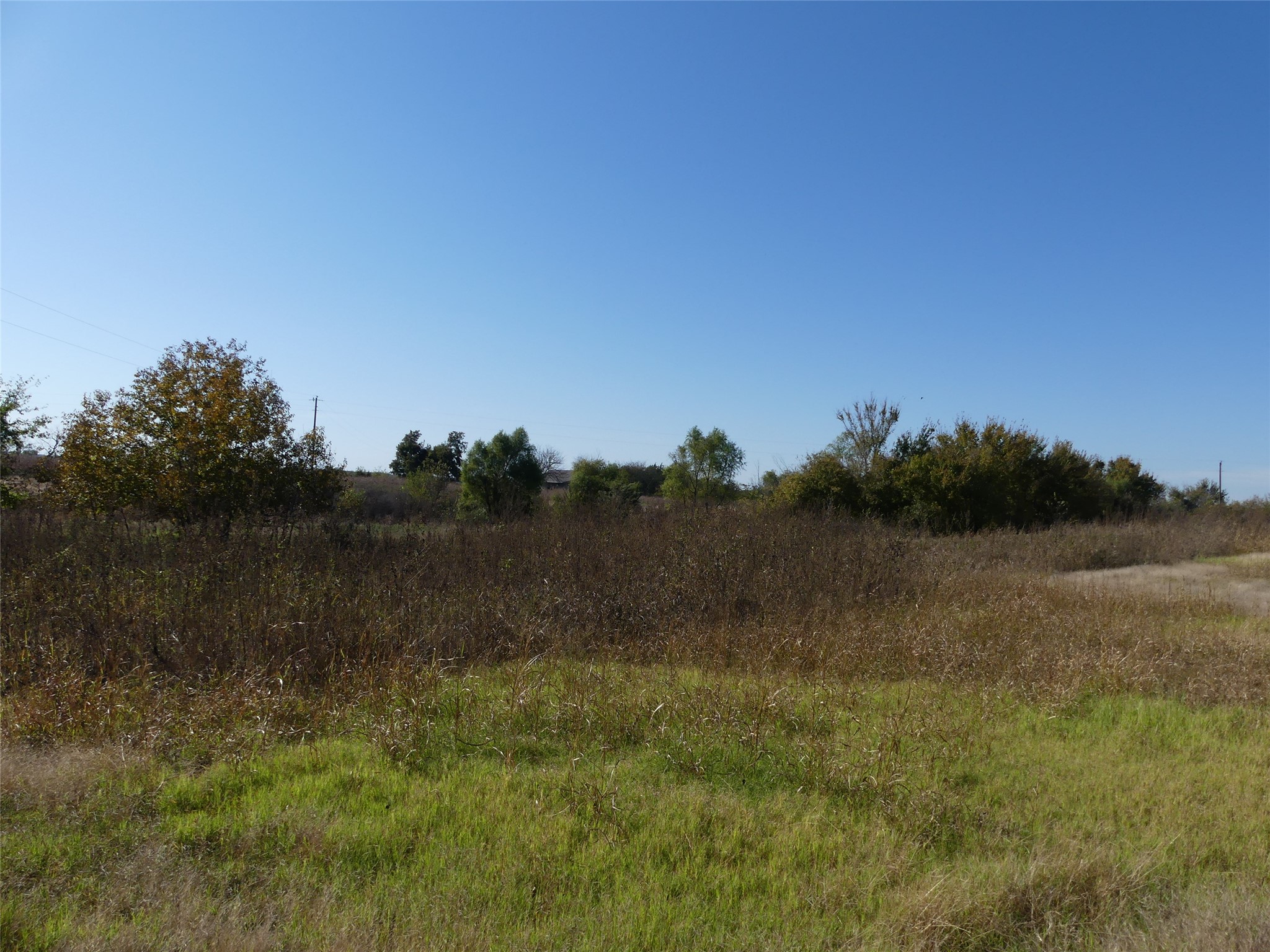 0001 Farm Market 1749 Forestburg TX 76239
