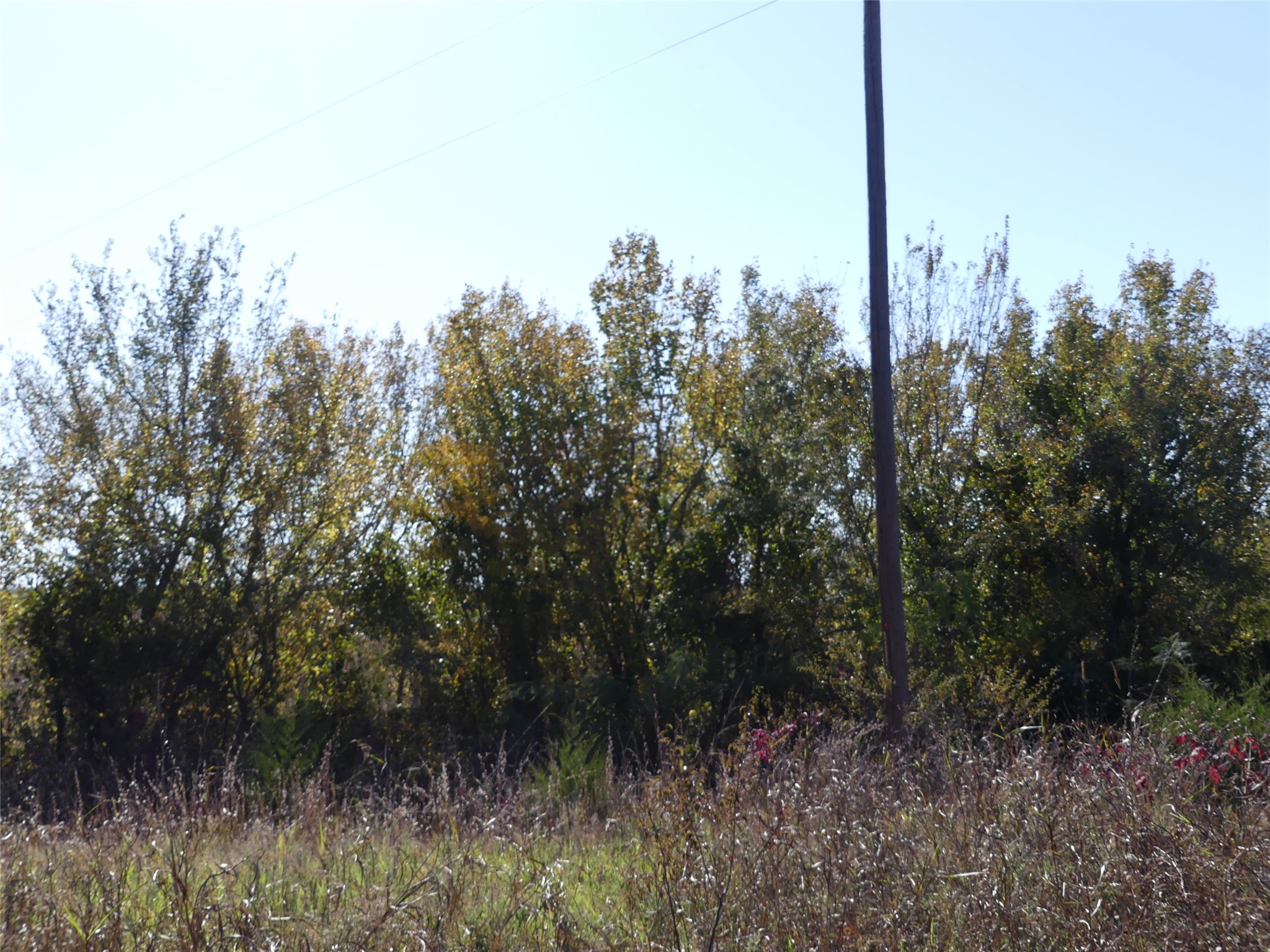 0001 Farm Market 1749 Forestburg TX 76239