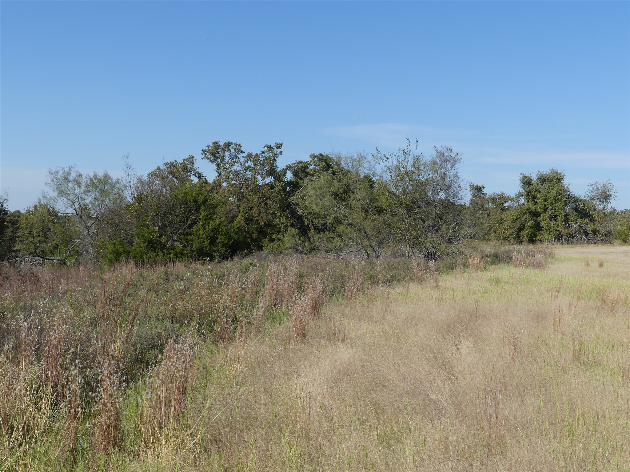 0001 Farm Market 1749 Forestburg TX 76239