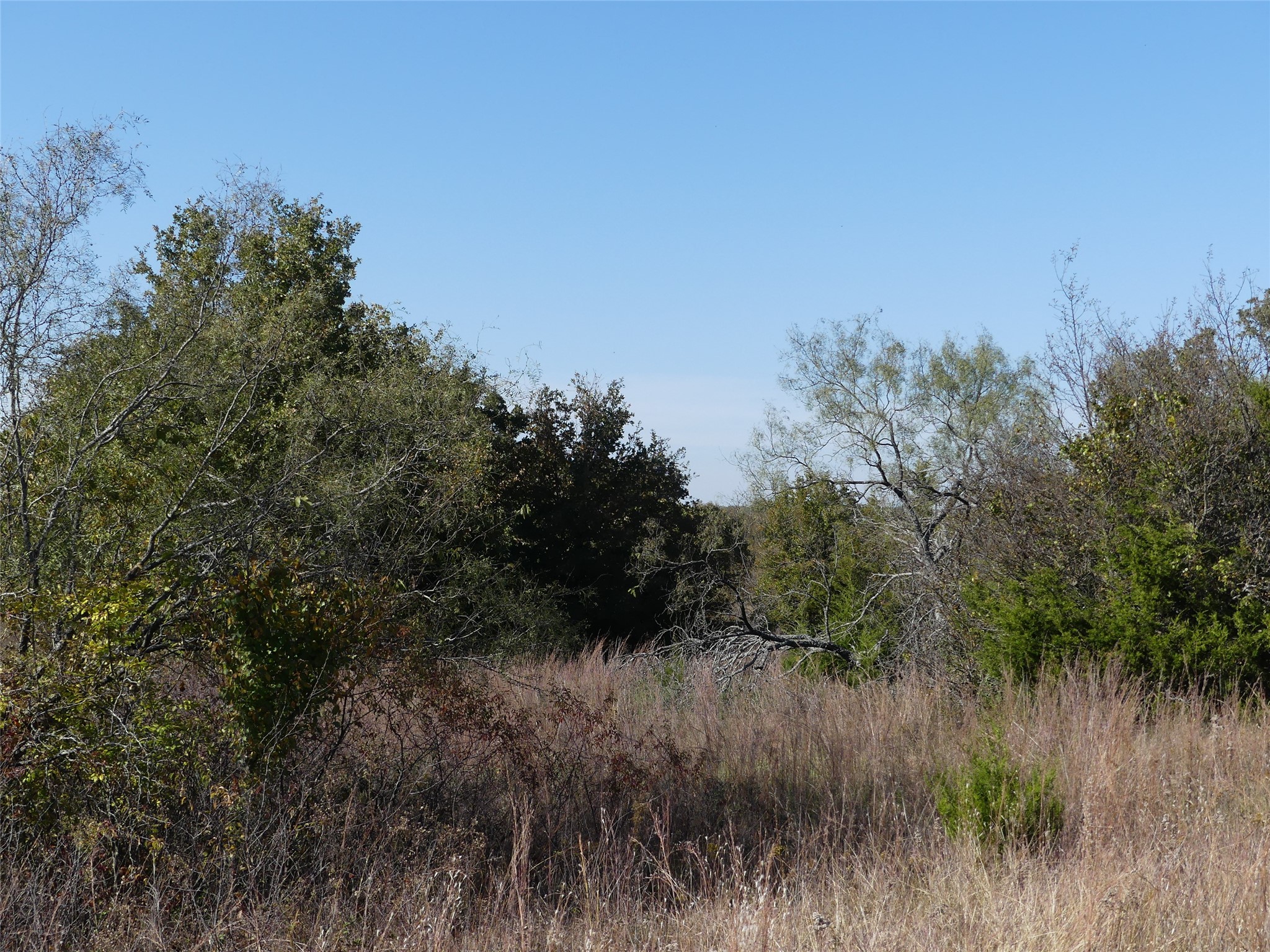 0001 Farm Market 1749 Forestburg TX 76239