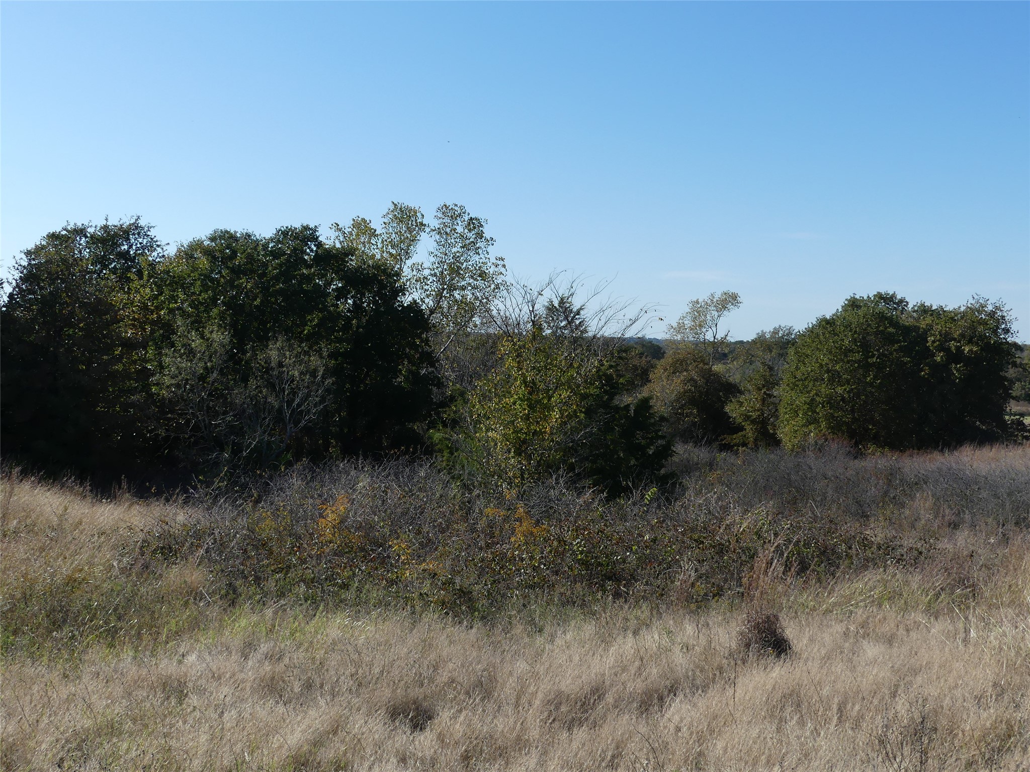 0001 Farm Market 1749 Forestburg TX 76239