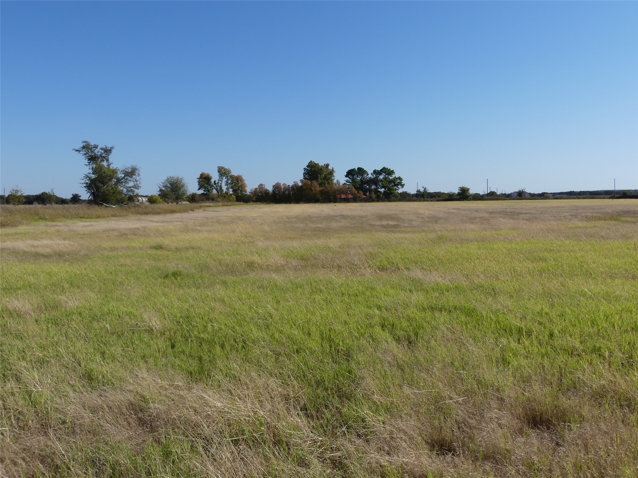 0001 Farm Market 1749 Forestburg TX 76239