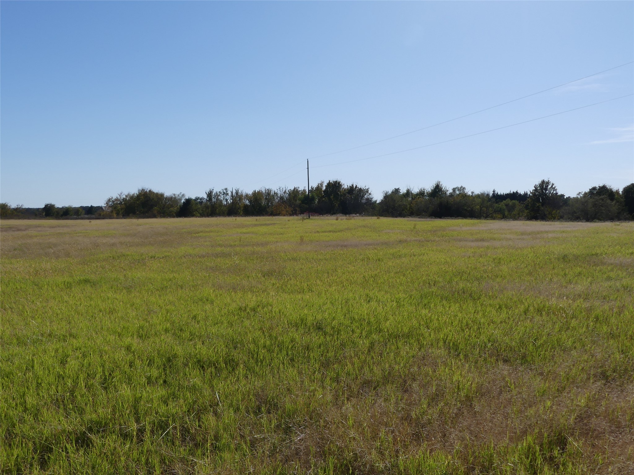 0001 Farm Market 1749 Forestburg TX 76239