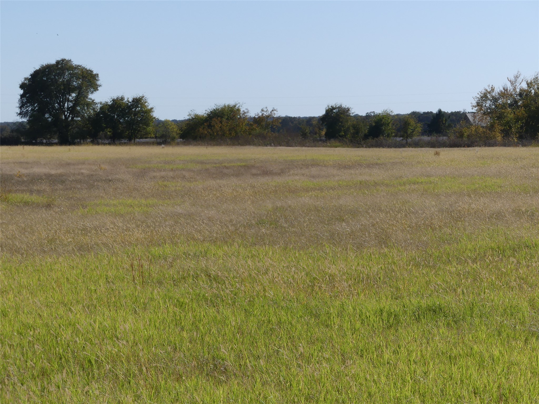 0001 Farm Market 1749 Forestburg TX 76239