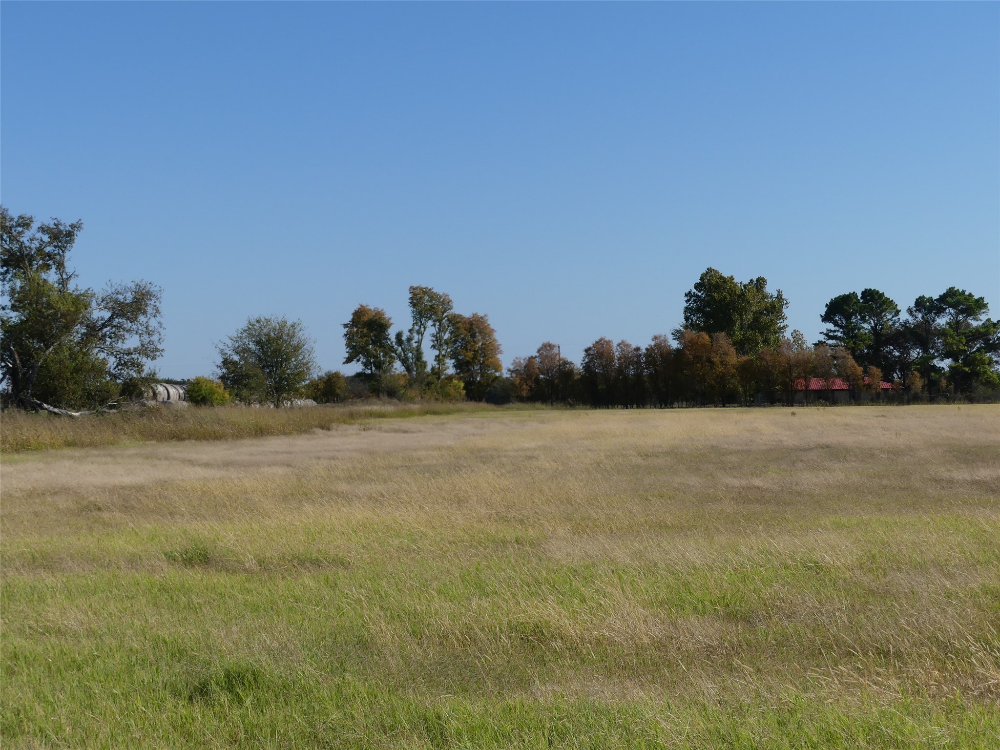 0001 Farm Market 1749 Forestburg TX 76239