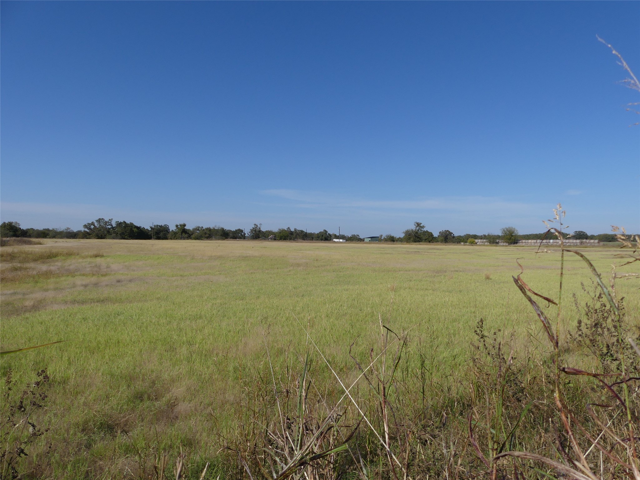 0001 Farm Market 1749 Forestburg TX 76239
