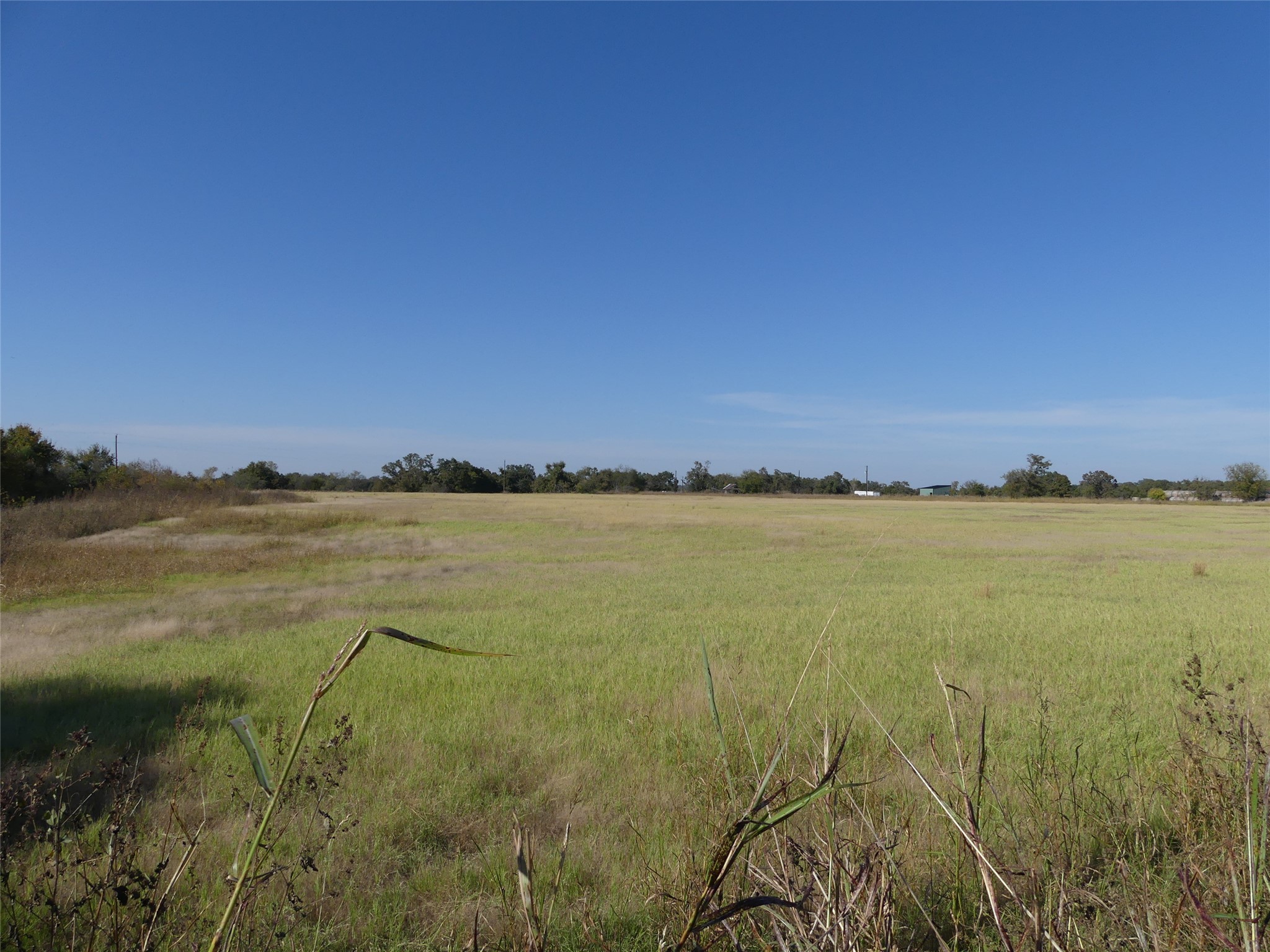 0001 Farm Market 1749 Forestburg TX 76239