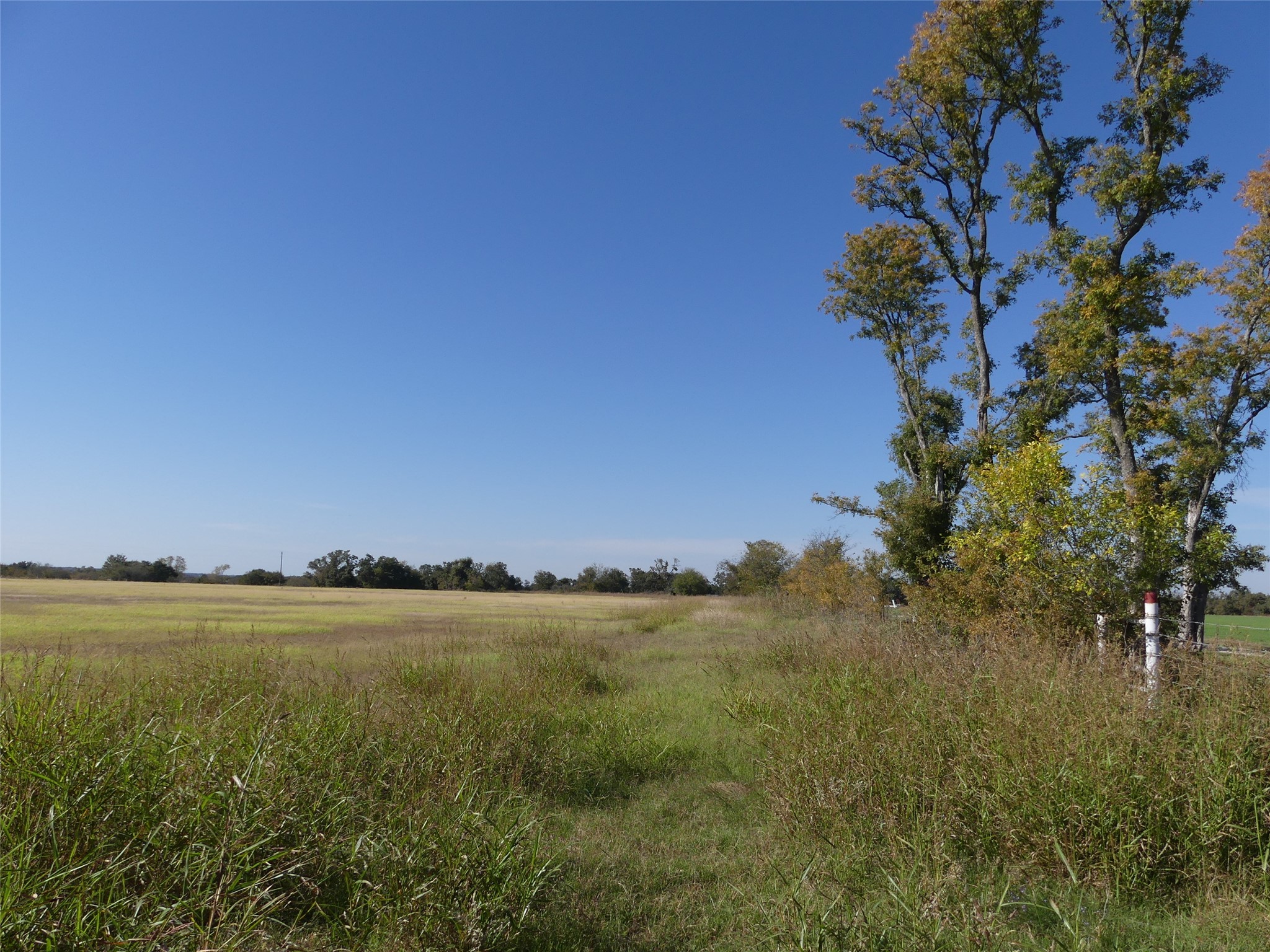 0001 Farm Market 1749 Forestburg TX 76239