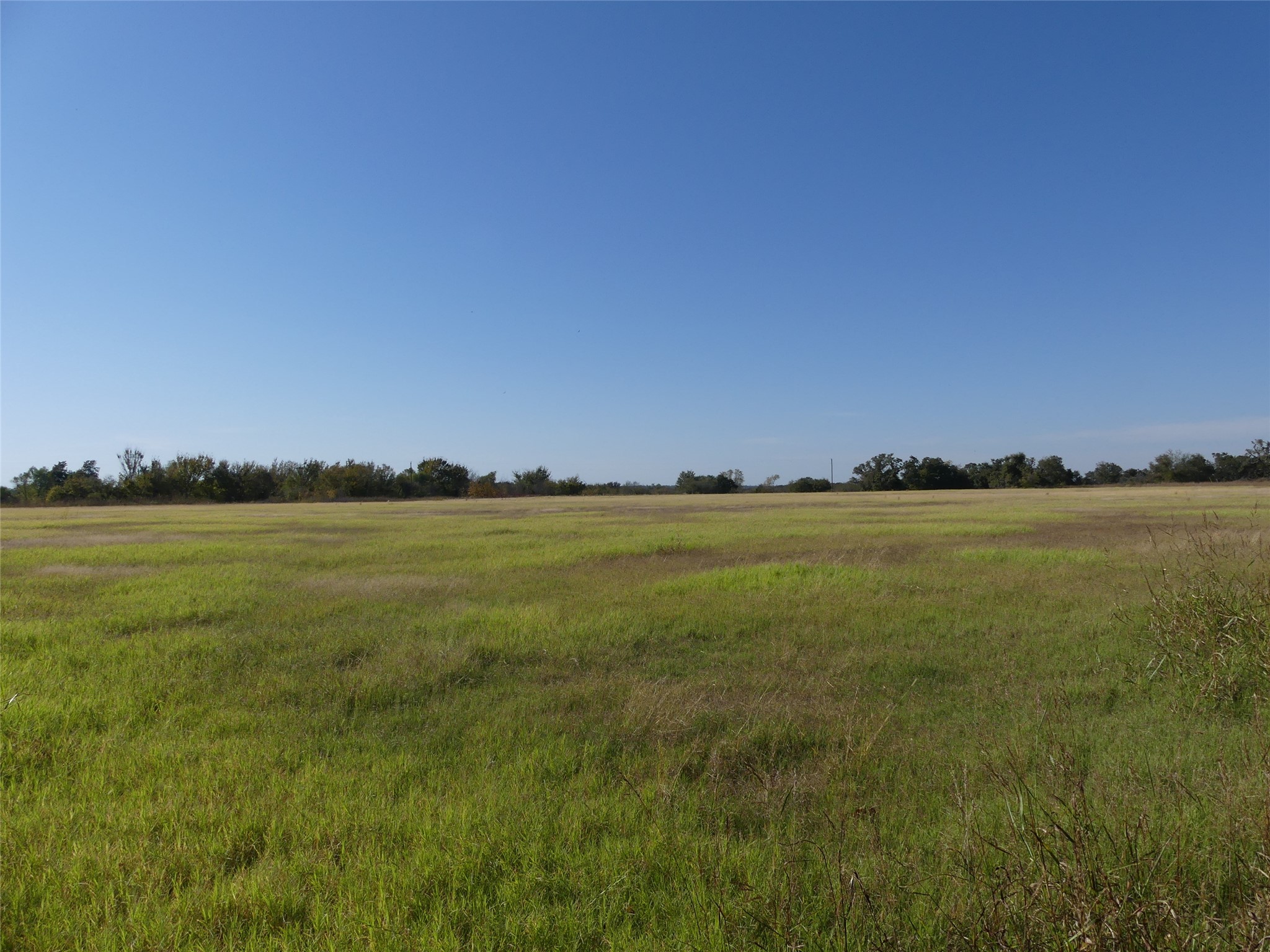 0001 Farm Market 1749 Forestburg TX 76239