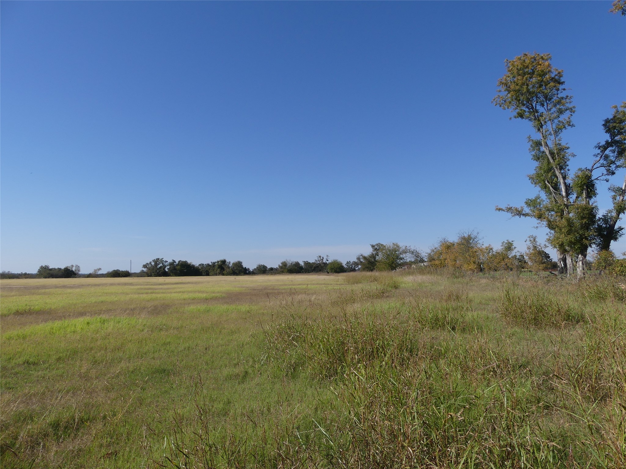 0001 Farm Market 1749 Forestburg TX 76239