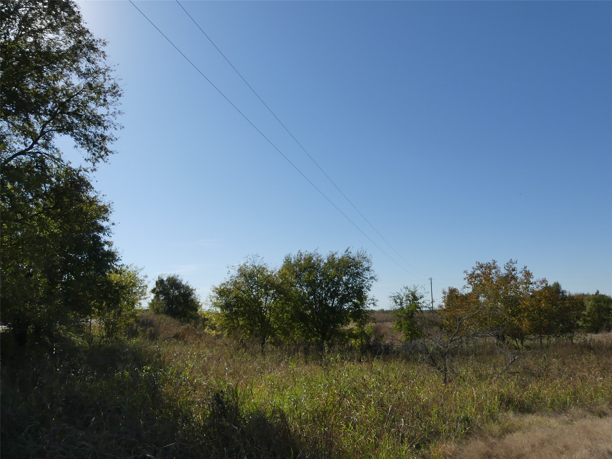 0001 Farm Market 1749 Forestburg TX 76239