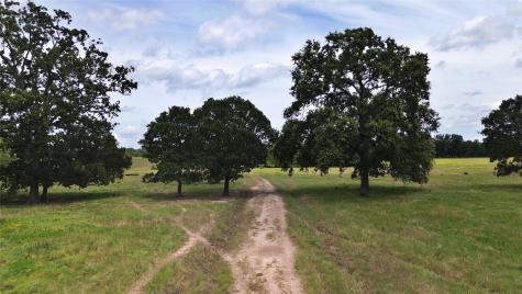 695 County Road 1210 Lake Creek TX 75450