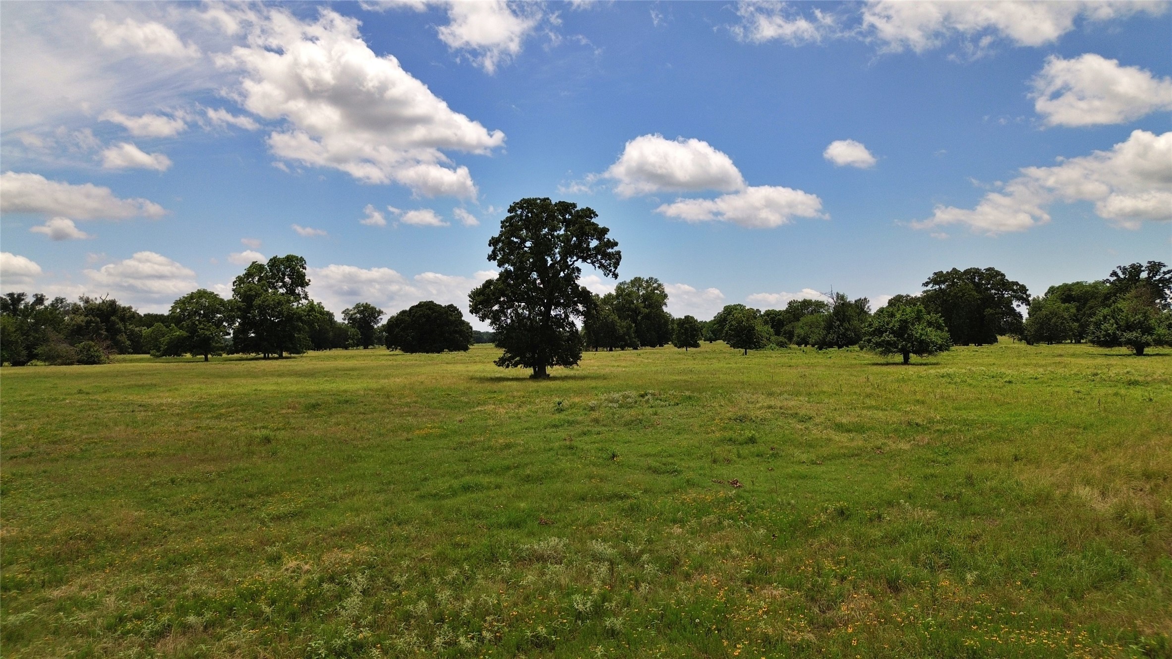 695 County Road 1210 Lake Creek TX 75450