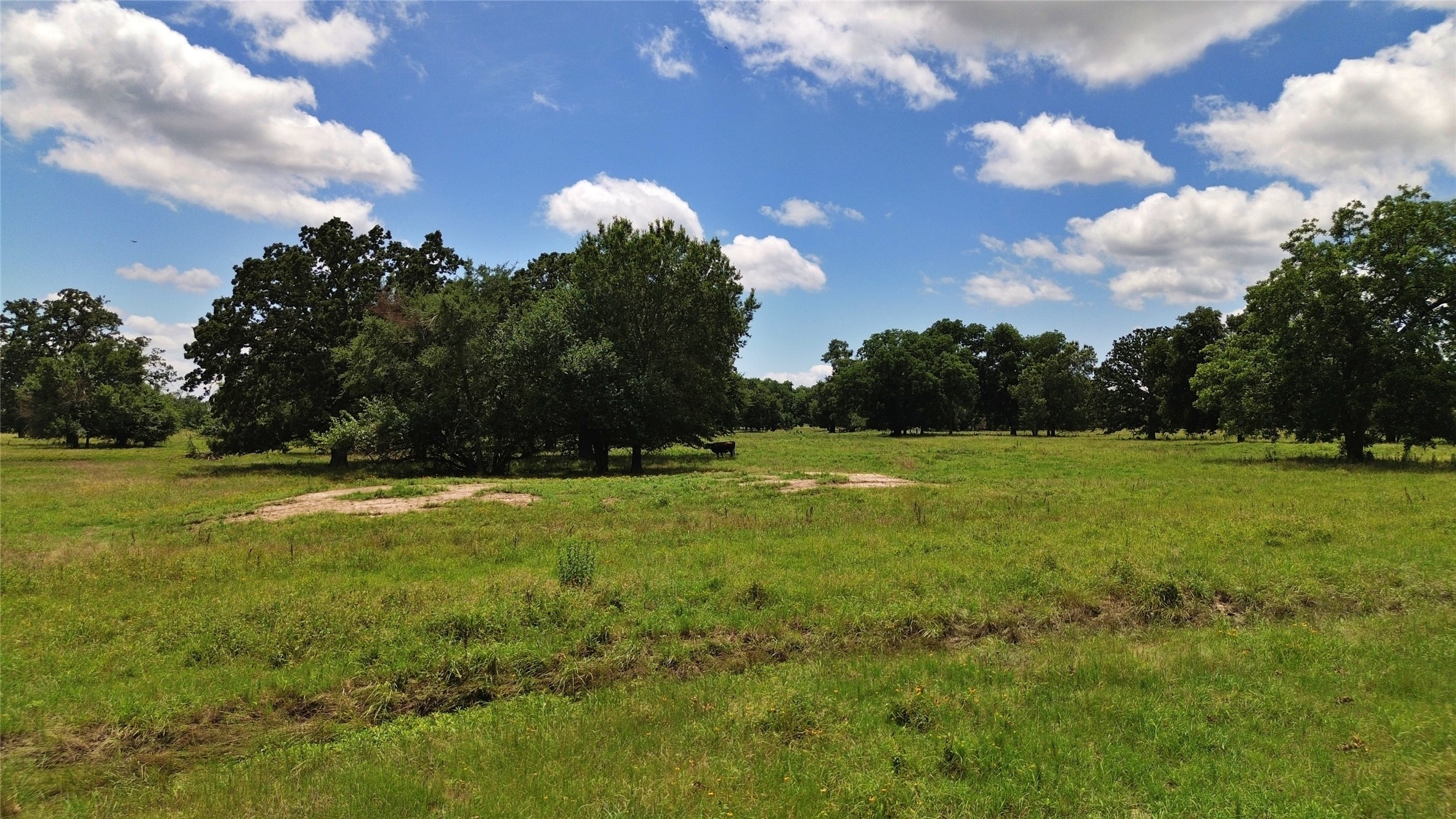 695 County Road 1210 Lake Creek TX 75450