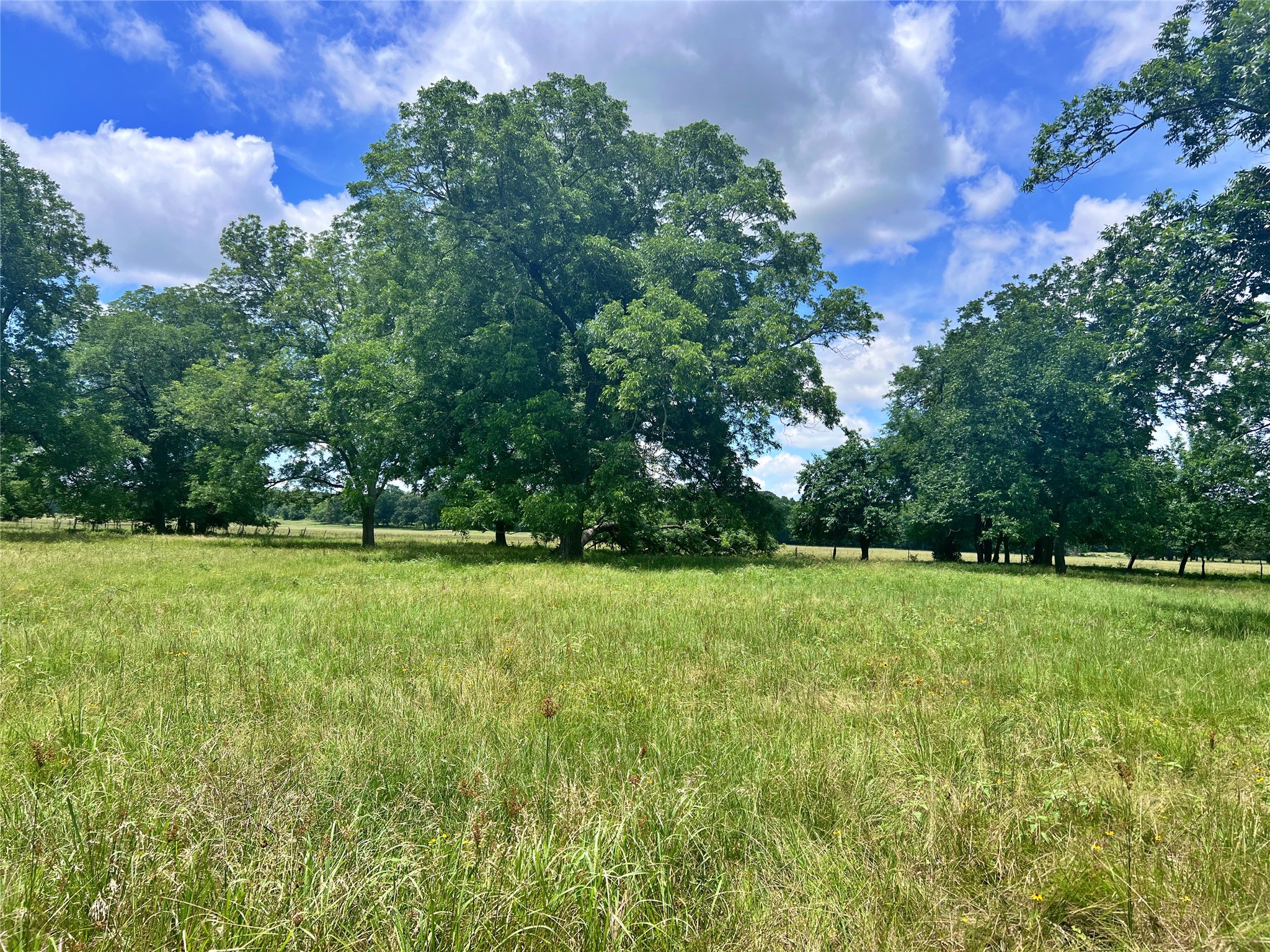 695 County Road 1210 Lake Creek TX 75450