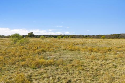 10127 Fm 1385 Pilot Point TX 76258