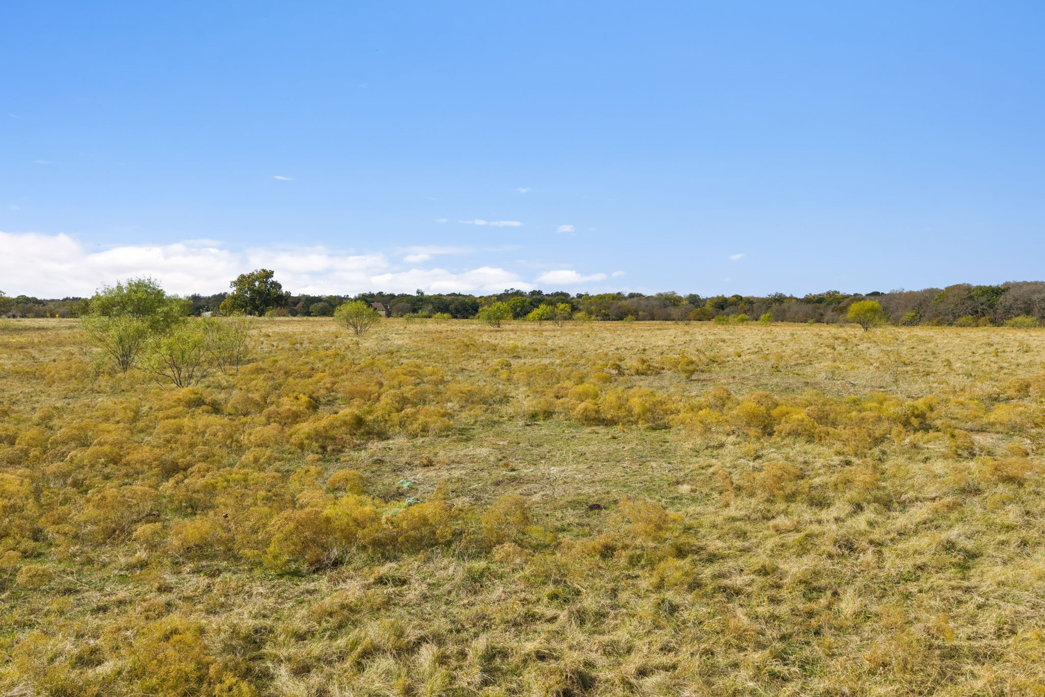10127 Fm 1385 Pilot Point TX 76258