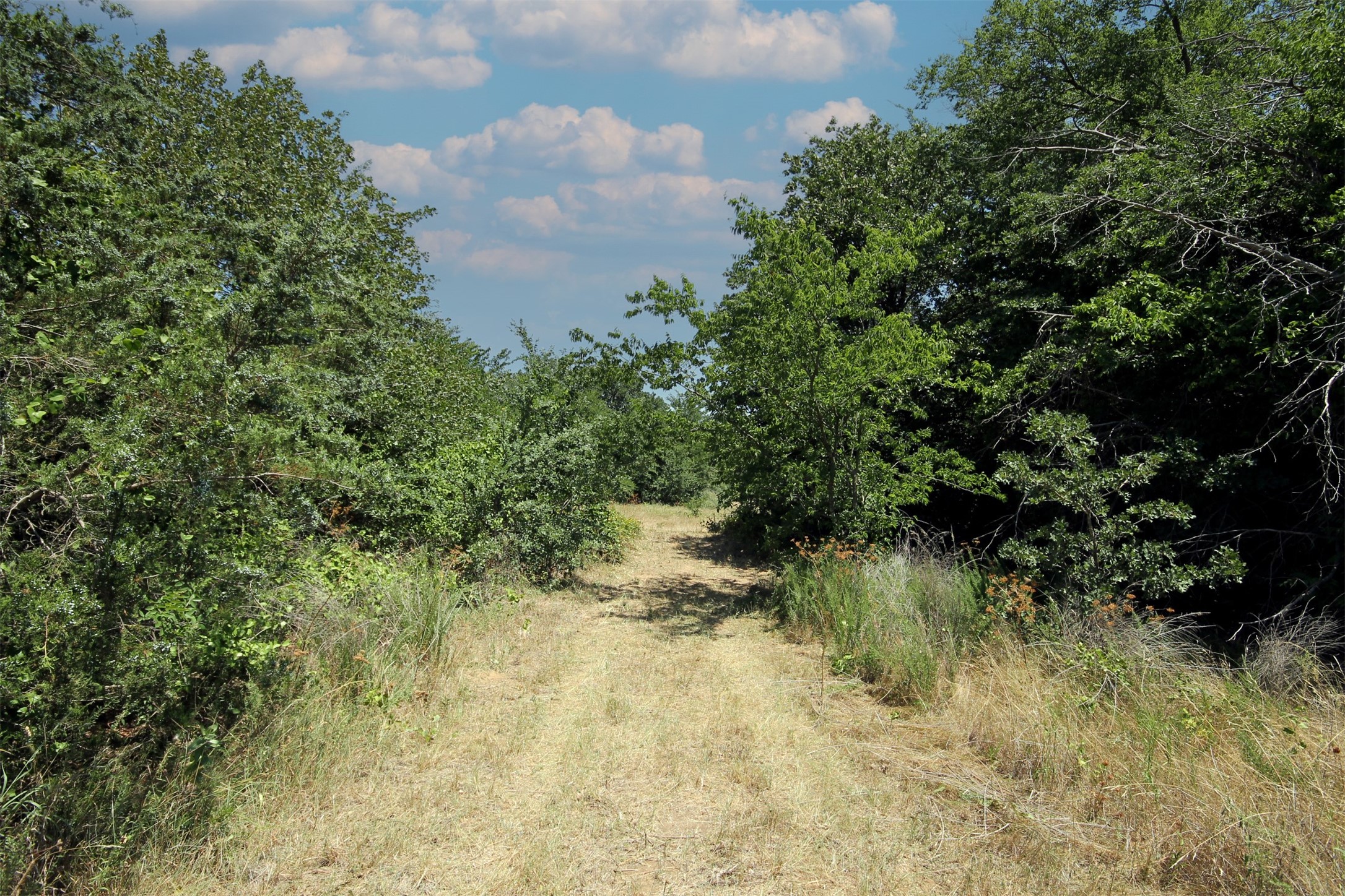 16.72AC Joe Allen Road Pilot Point TX 76258