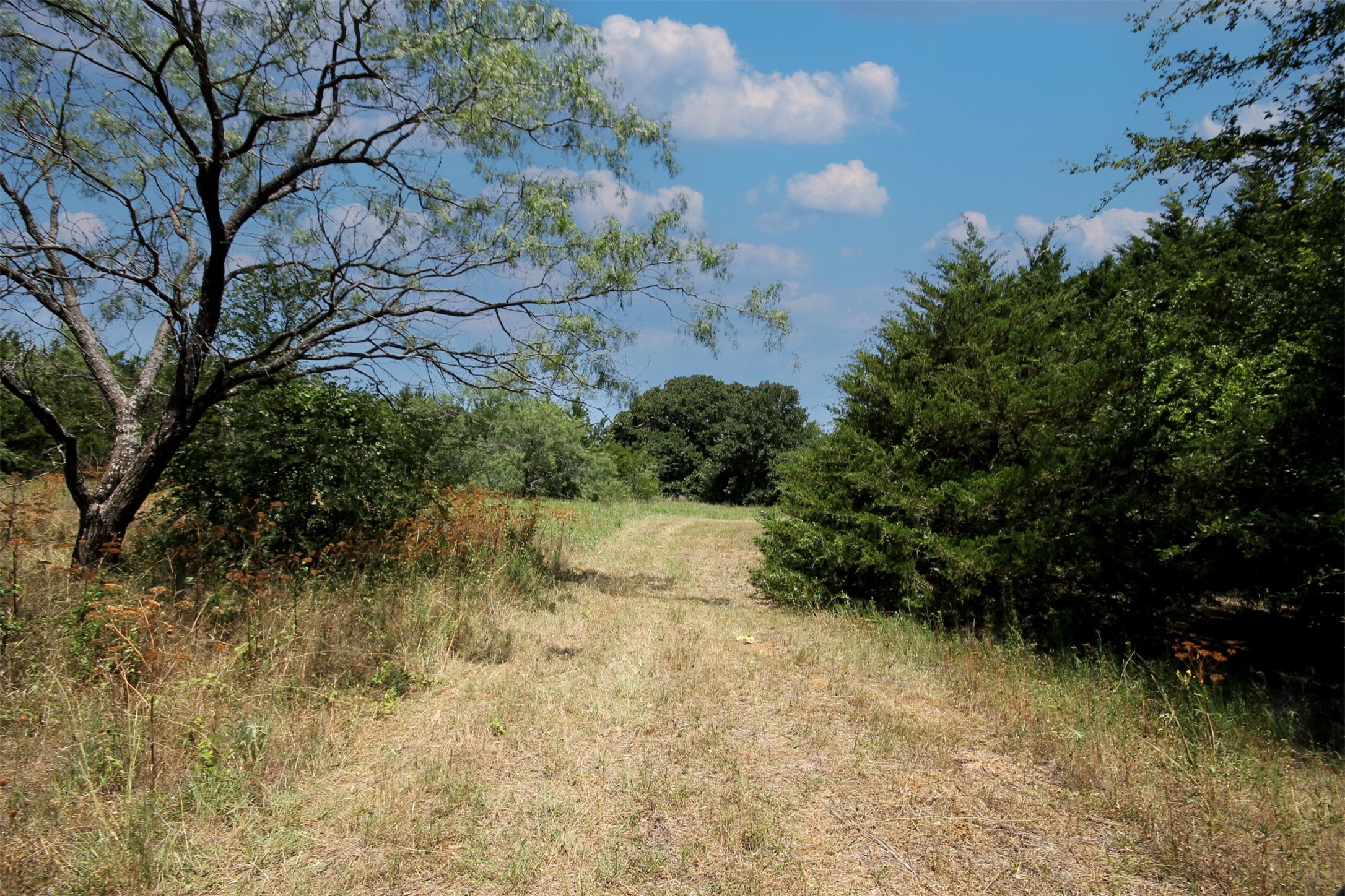 16.72AC Joe Allen Road Pilot Point TX 76258