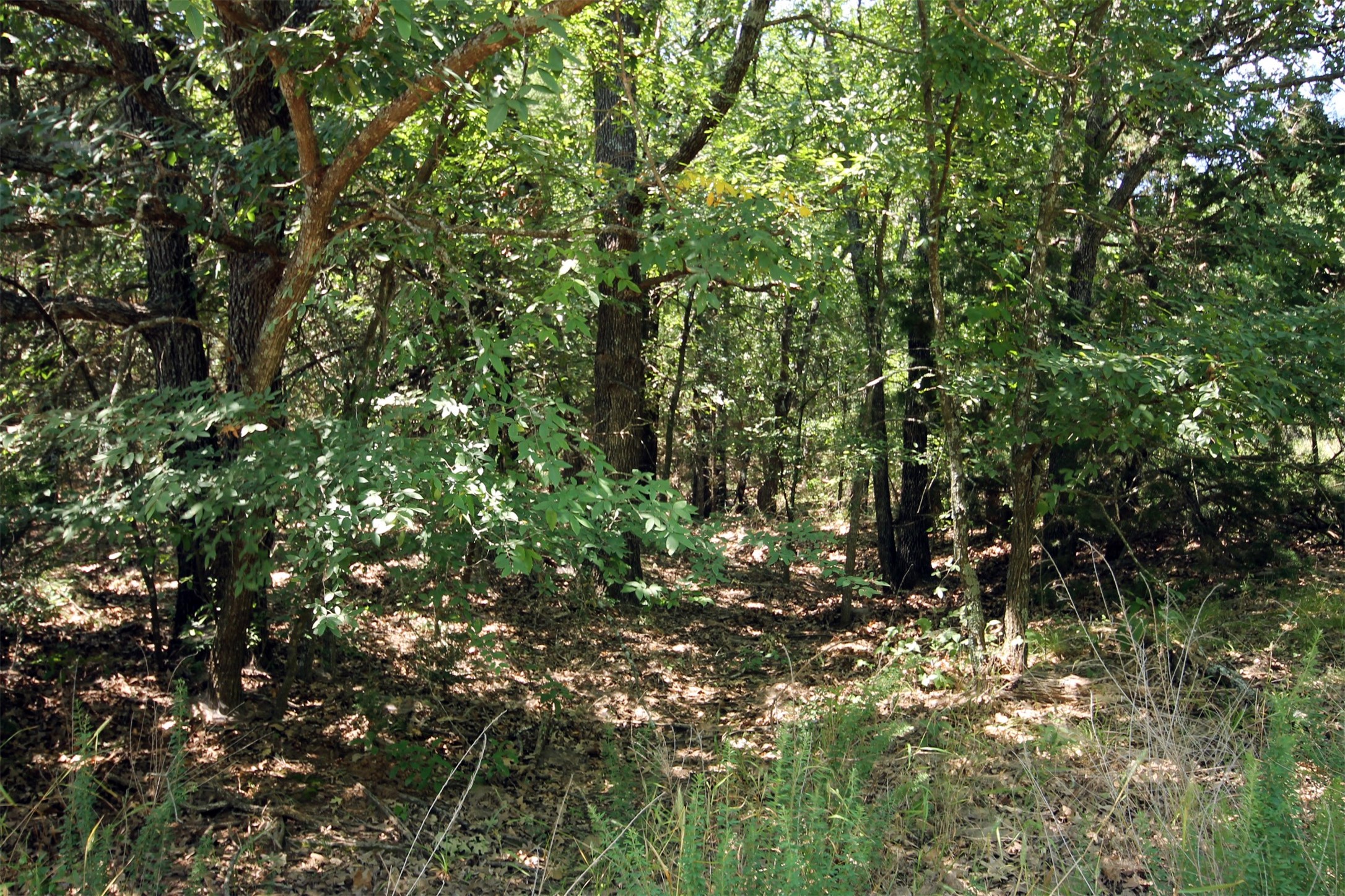 16.72AC Joe Allen Road Pilot Point TX 76258