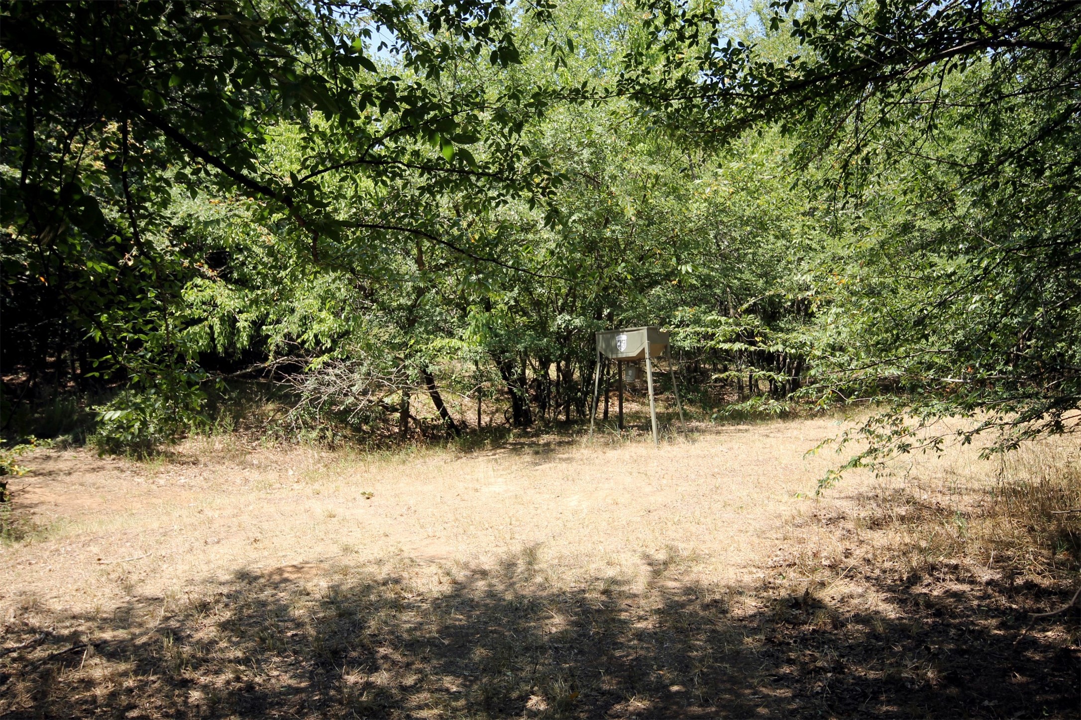 16.72AC Joe Allen Road Pilot Point TX 76258