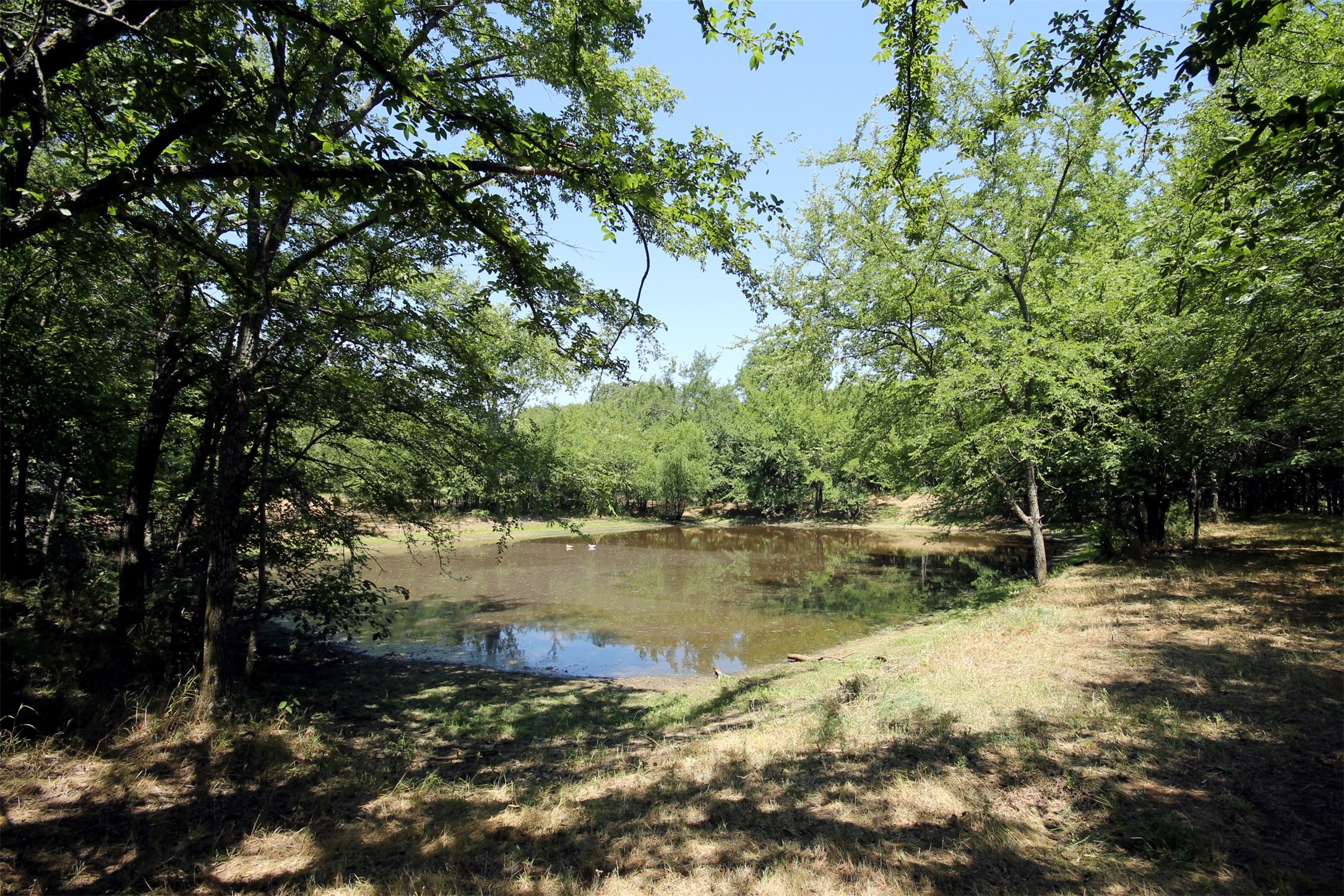 16.72AC Joe Allen Road Pilot Point TX 76258