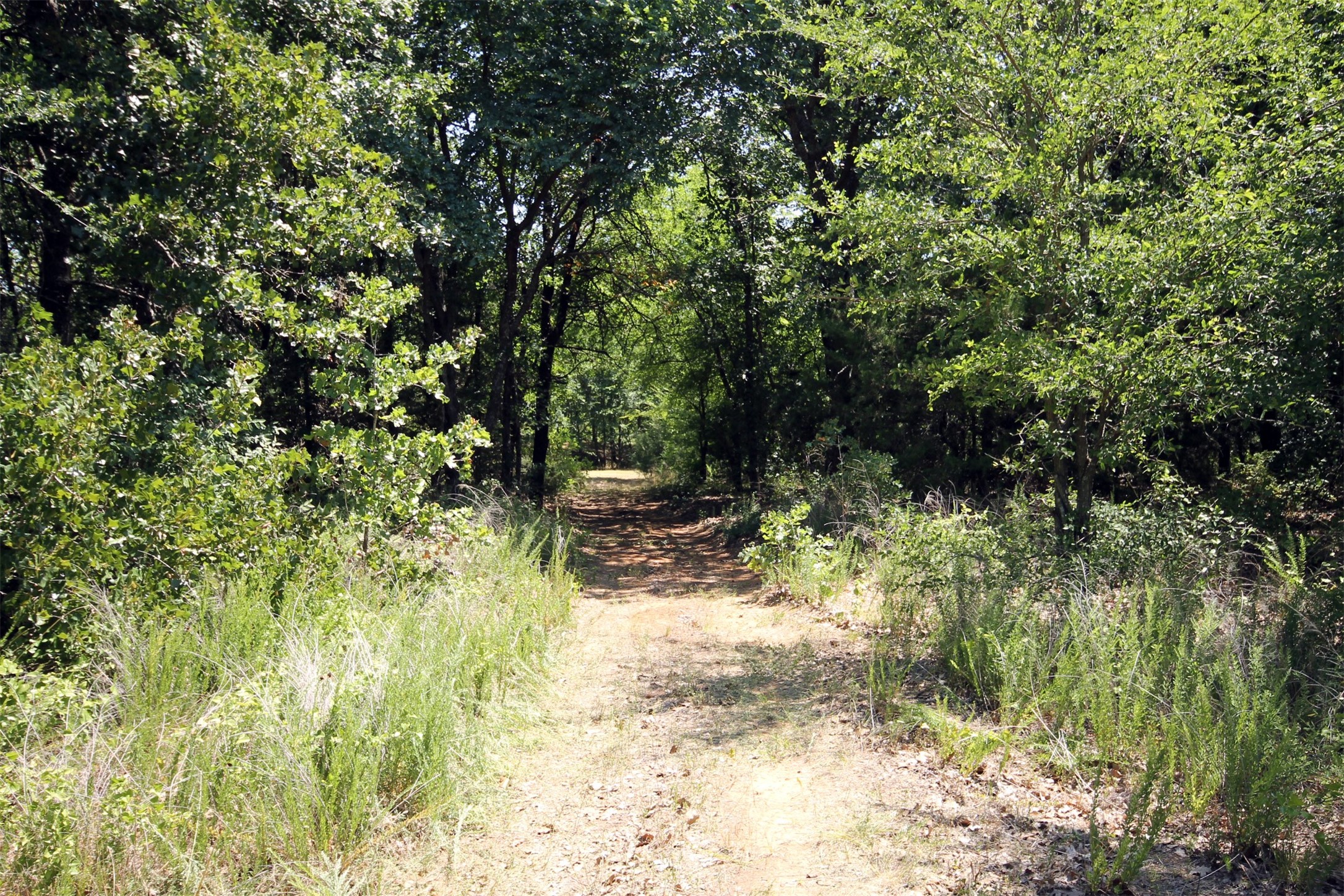 16.72AC Joe Allen Road Pilot Point TX 76258